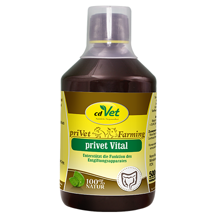 wurmfresser?, vetmedic?, cat bottle?