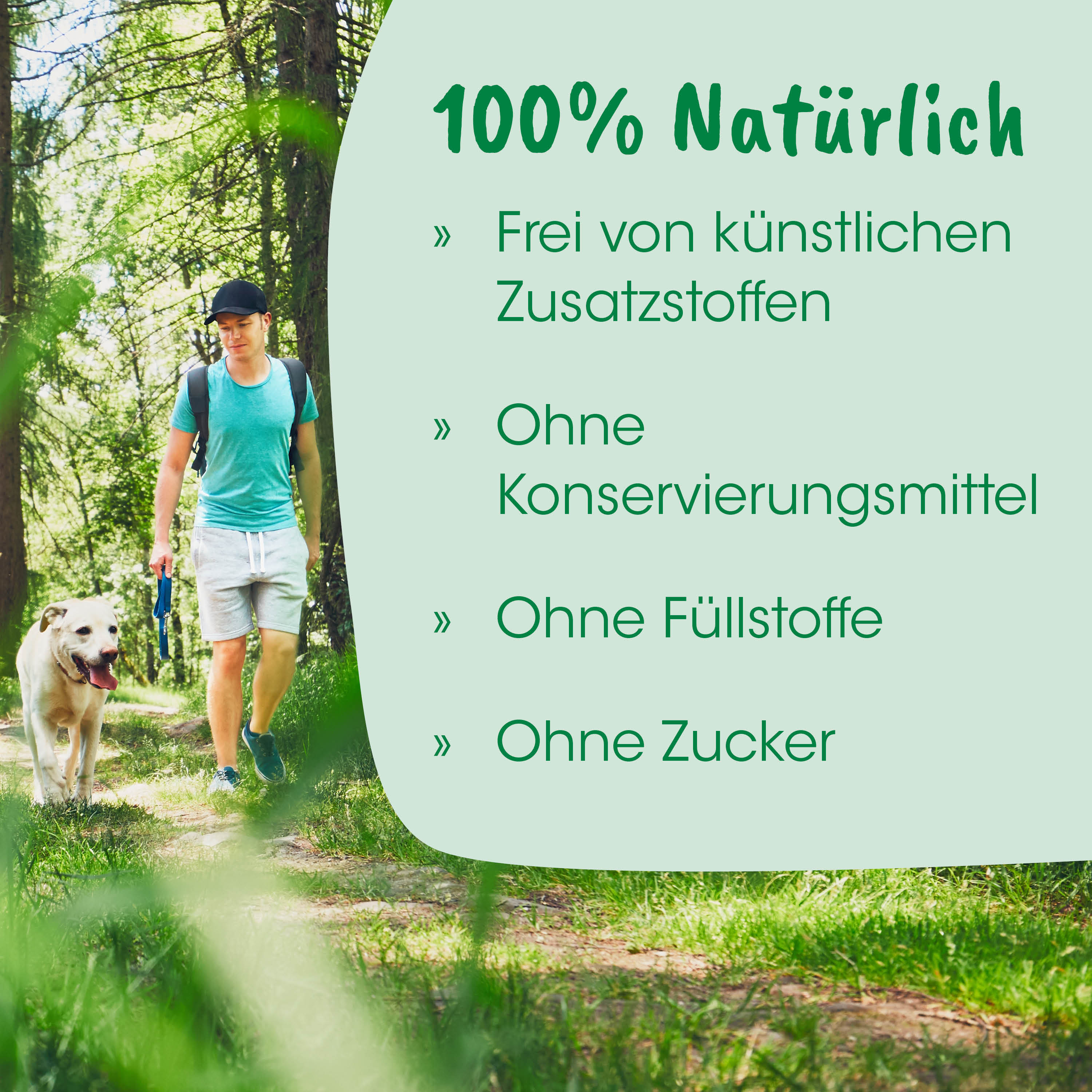 Outdoor, Wandern, Hund, Freizeit, Pfad