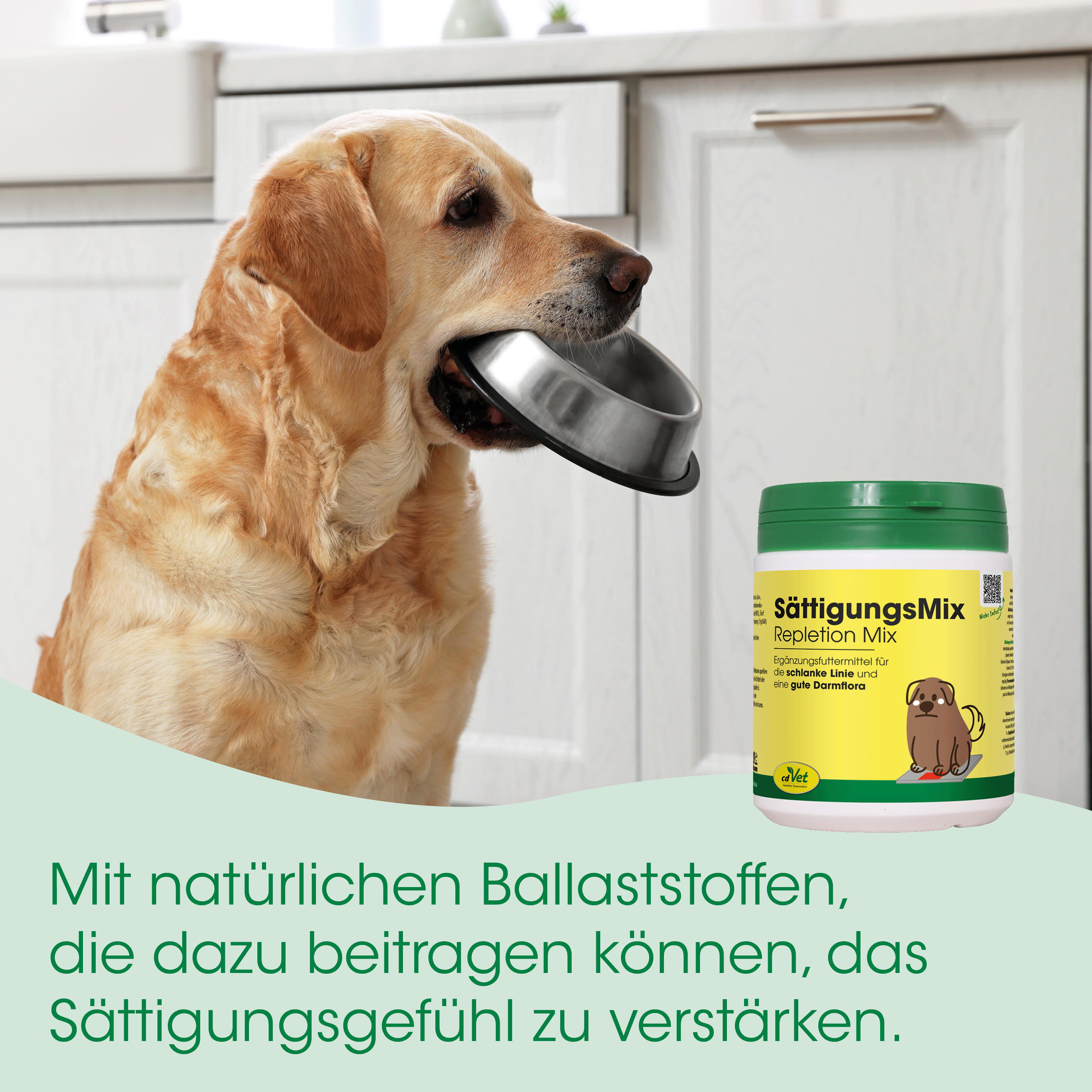 Hund, Küche, Futterdose, Nagesteller, Hundeprodukt