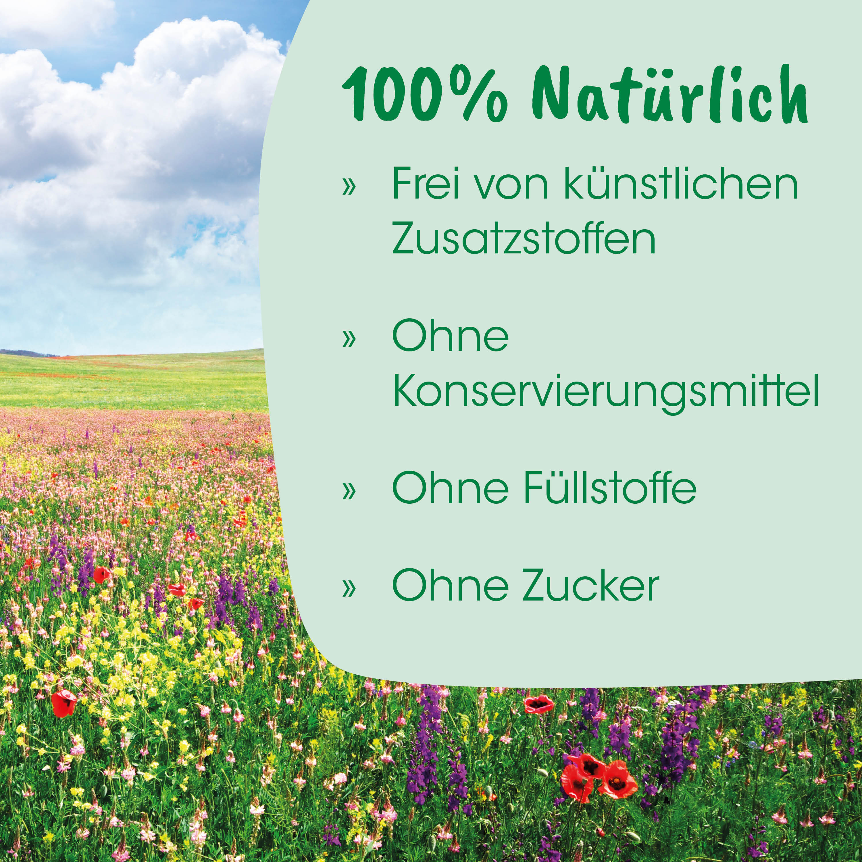 Blumenfeld, Natur, Wiese, bunte Blumen, Landschaft