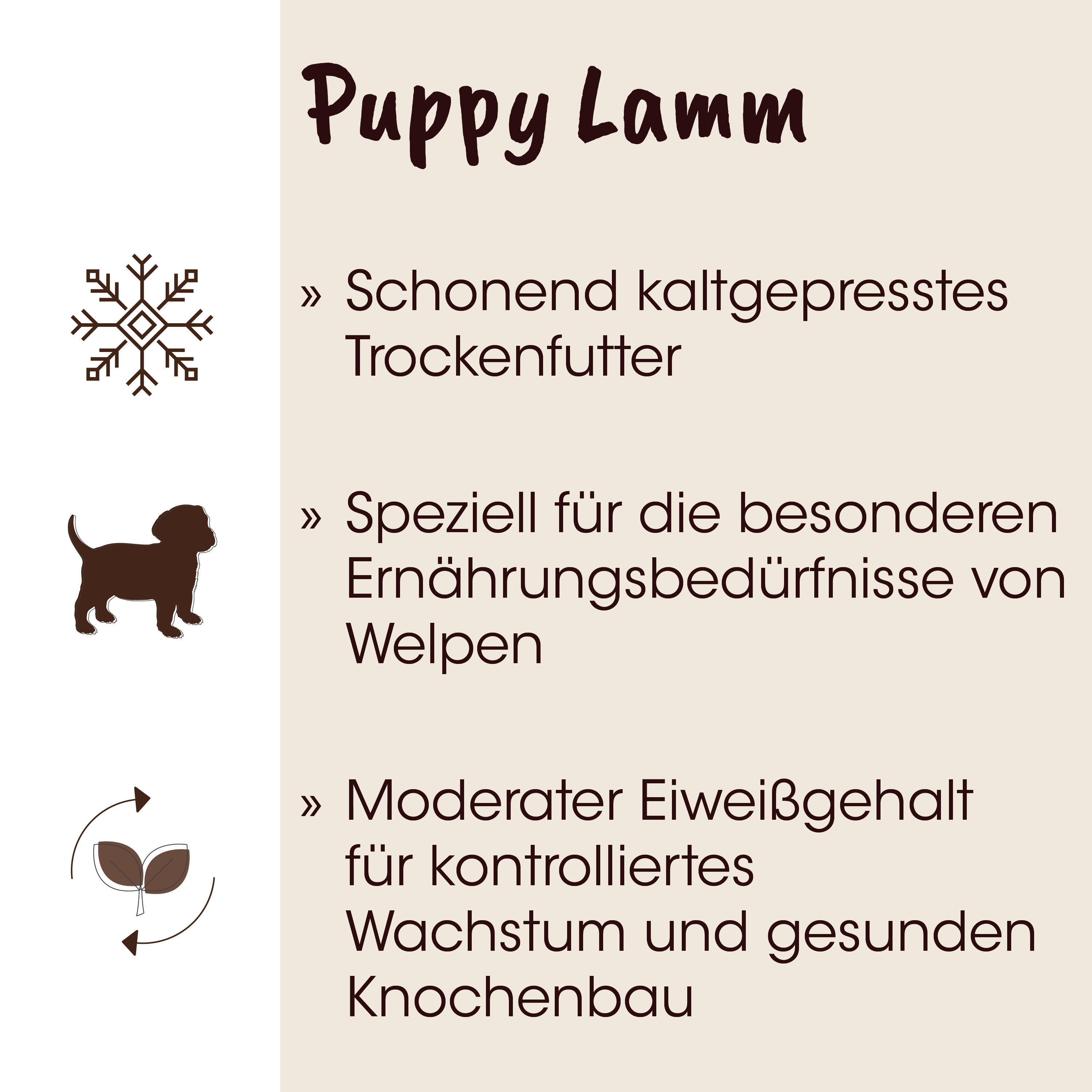Puppy, Lamm, Schneeflocke, Tierfigur, Tierbild