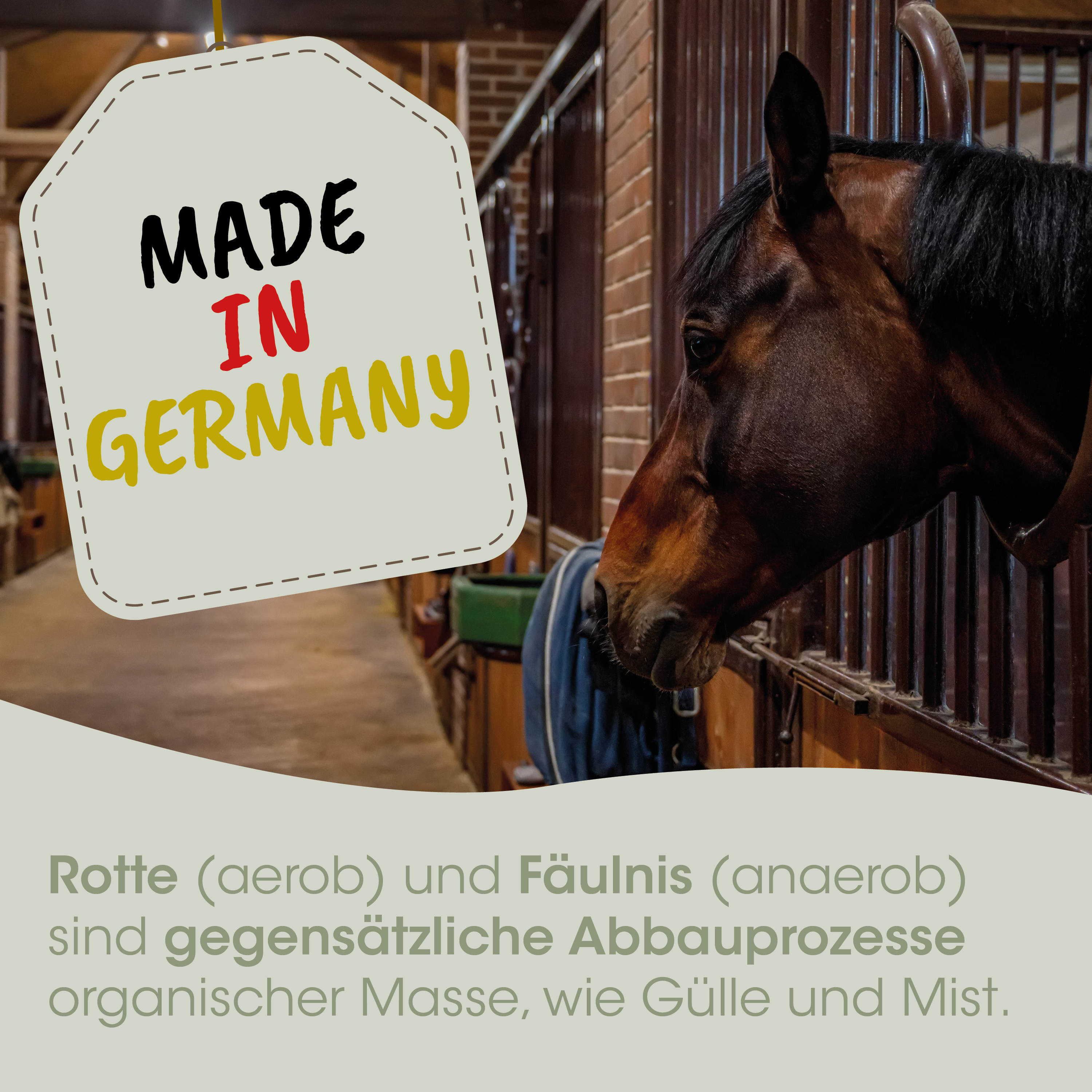 pferd, stall, pferdebox, hintergrund, made in germany