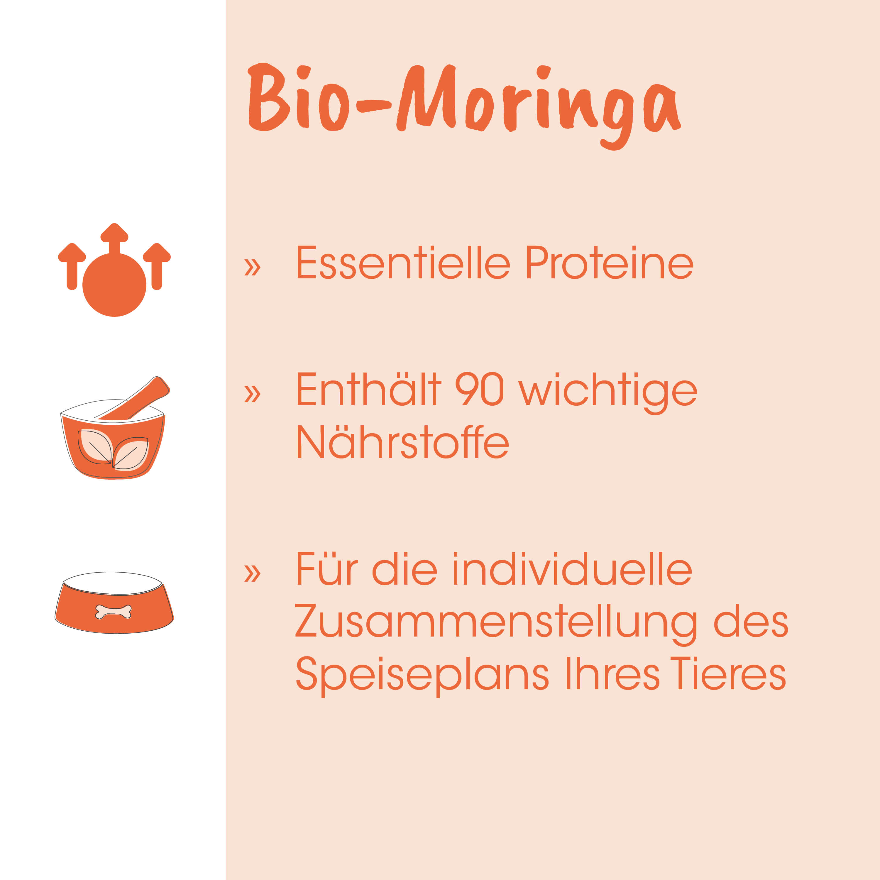 Bio-Moringa, Essentielle Proteine, Nährstoffe, Tierfutter, Futterschale