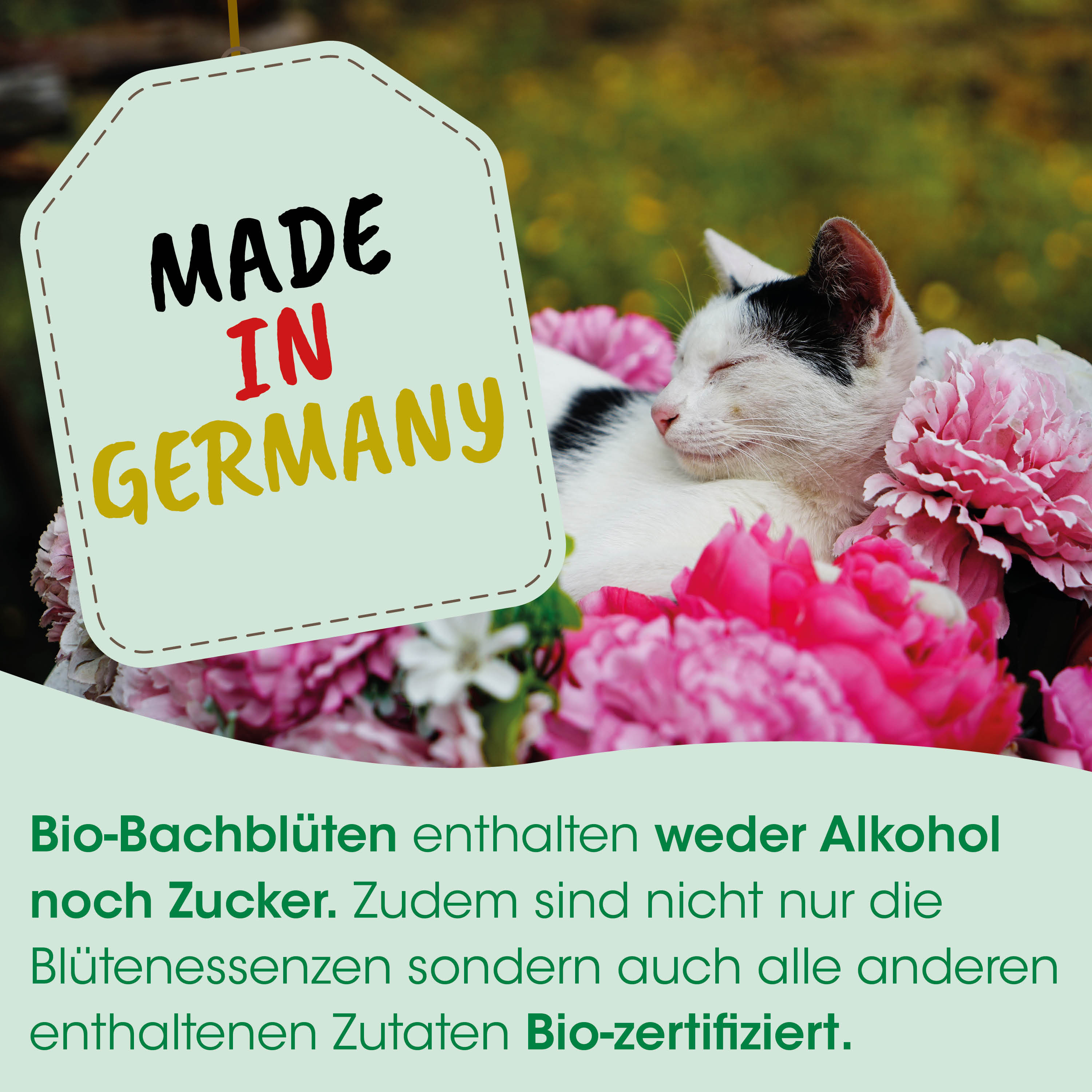Katze, Blumen, Bio, Made in Germany, ohne Alkohol
