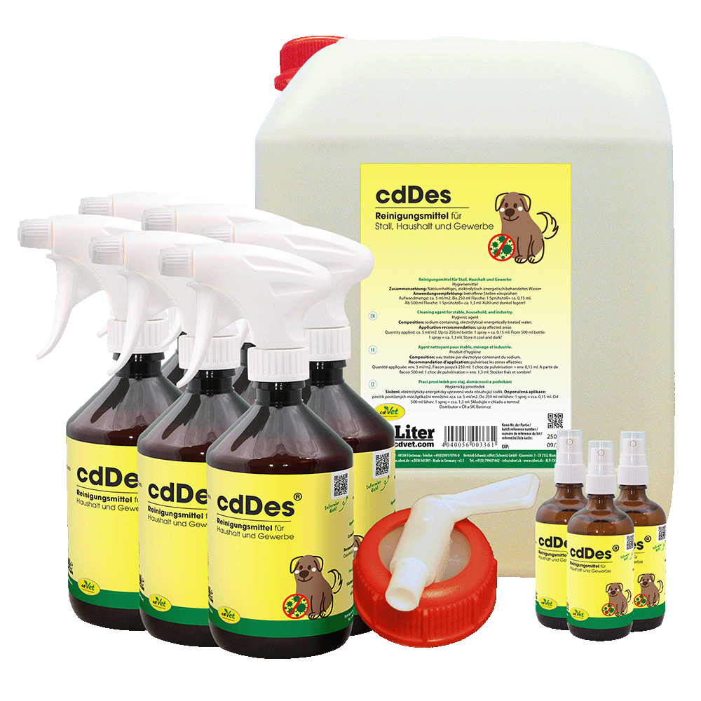 cdDes Fitness-Studios-Set