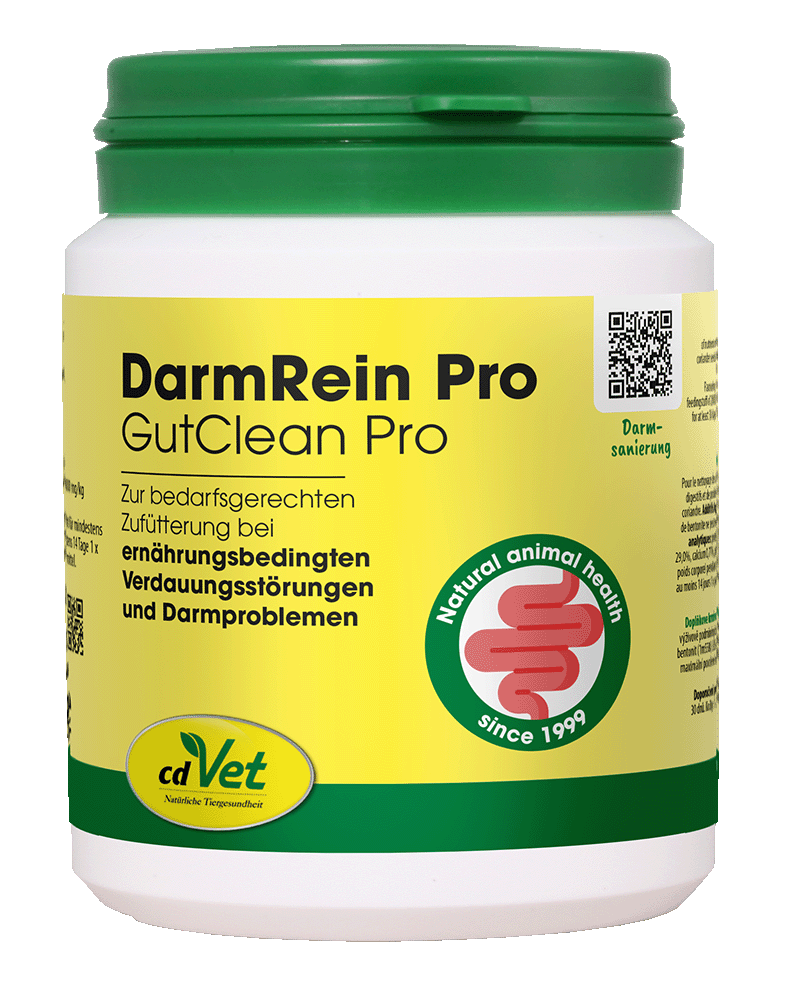 DarmRein Pro, GutClean Pro, Nahrungsergänzung, Darmgesundheit, Tiergesundheit