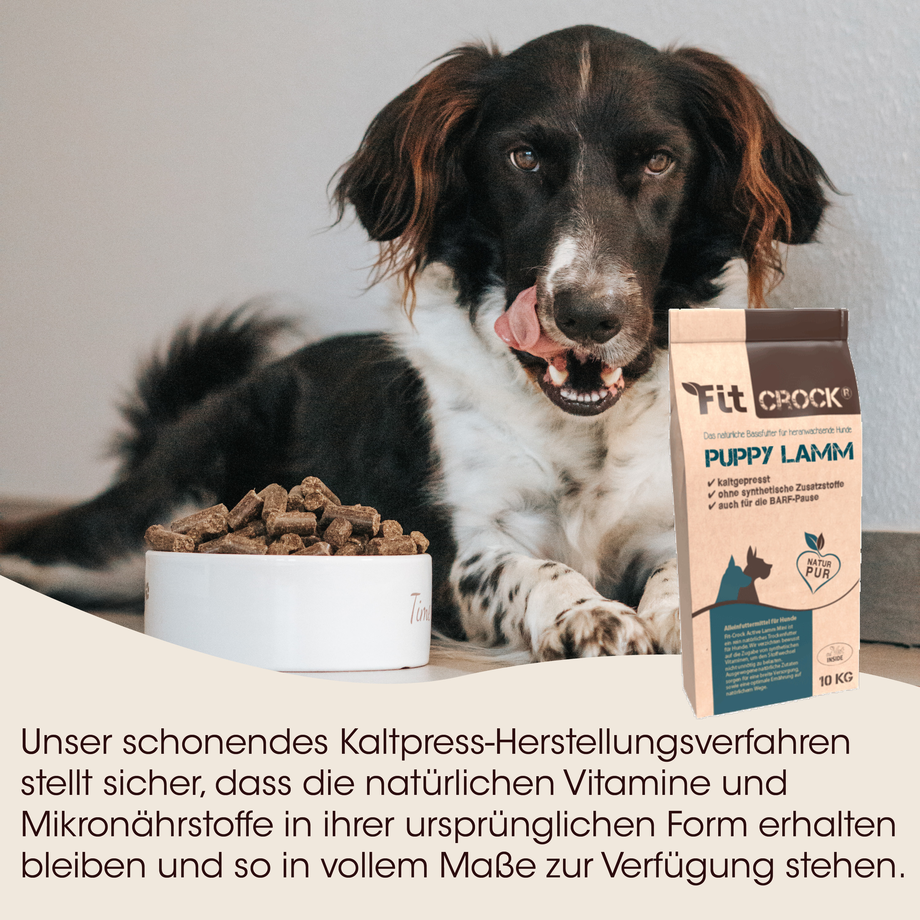 Hund, Hundefutter, Kausnacks, Beutel, Futter