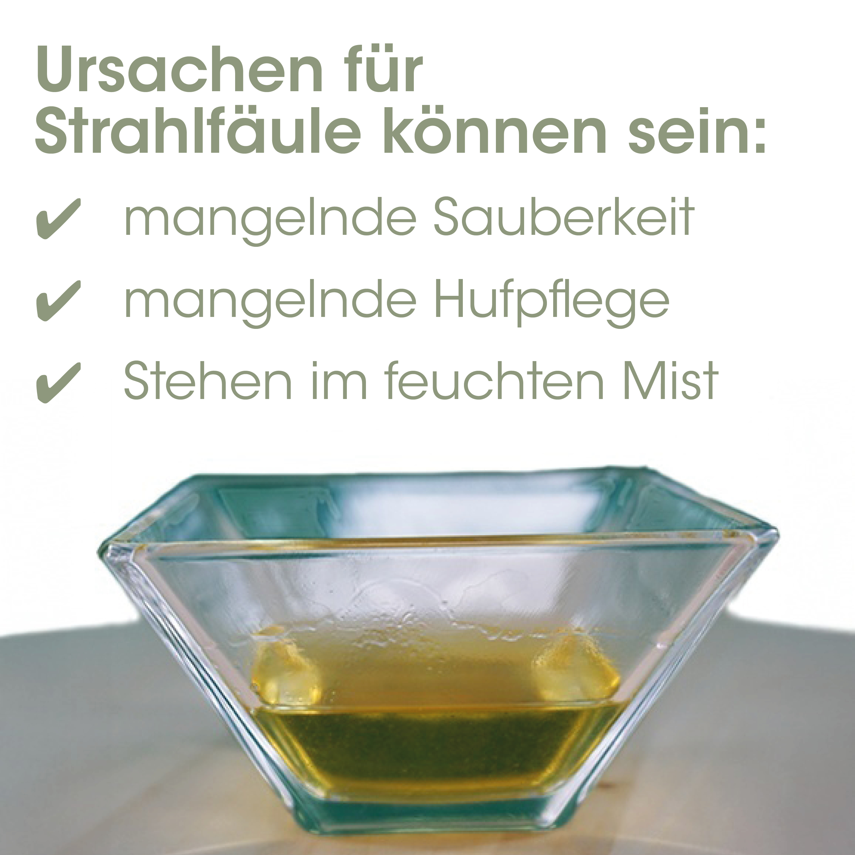 Glas-Schale, Quaderschale, Klarglas, gelbe Flüssigkeit, transparent