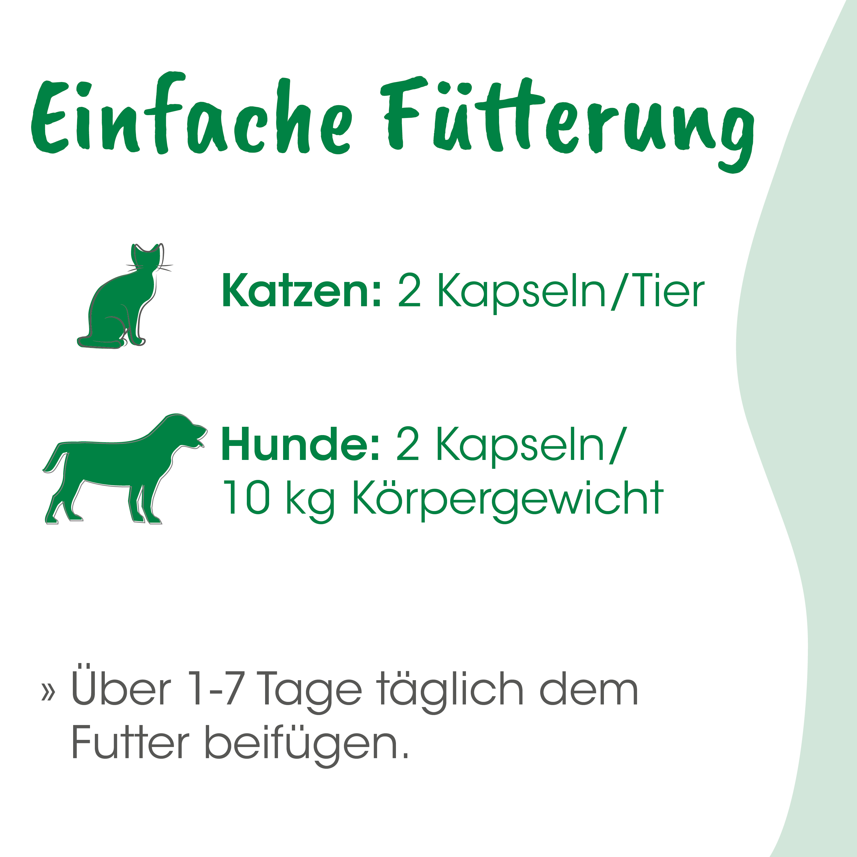 Katzenfutter, Kapseln, Tierfutter, Fütterung, Hunde- und Katzenfutter
