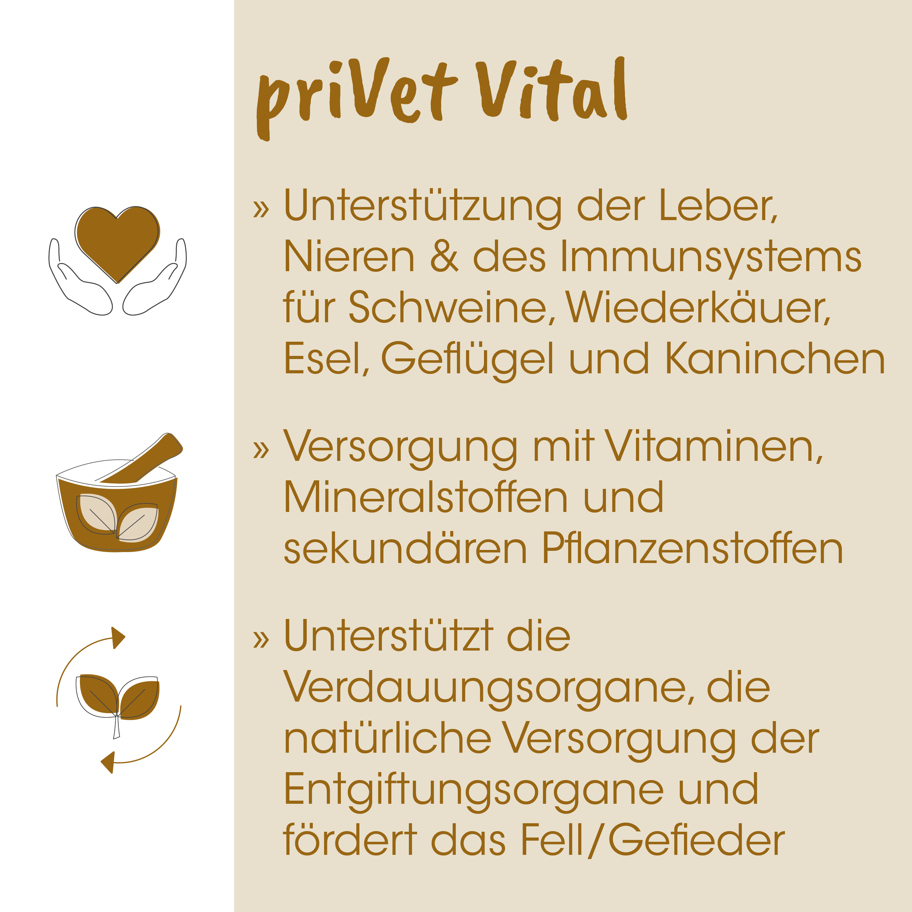 herz-icon, hände, mörser, blätter, pflanzenpflege