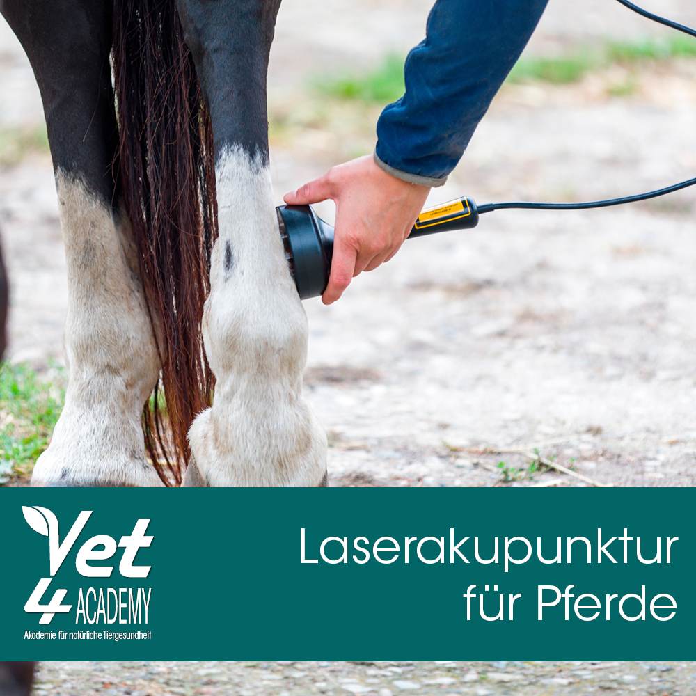 Zubehor, Riemen, Person