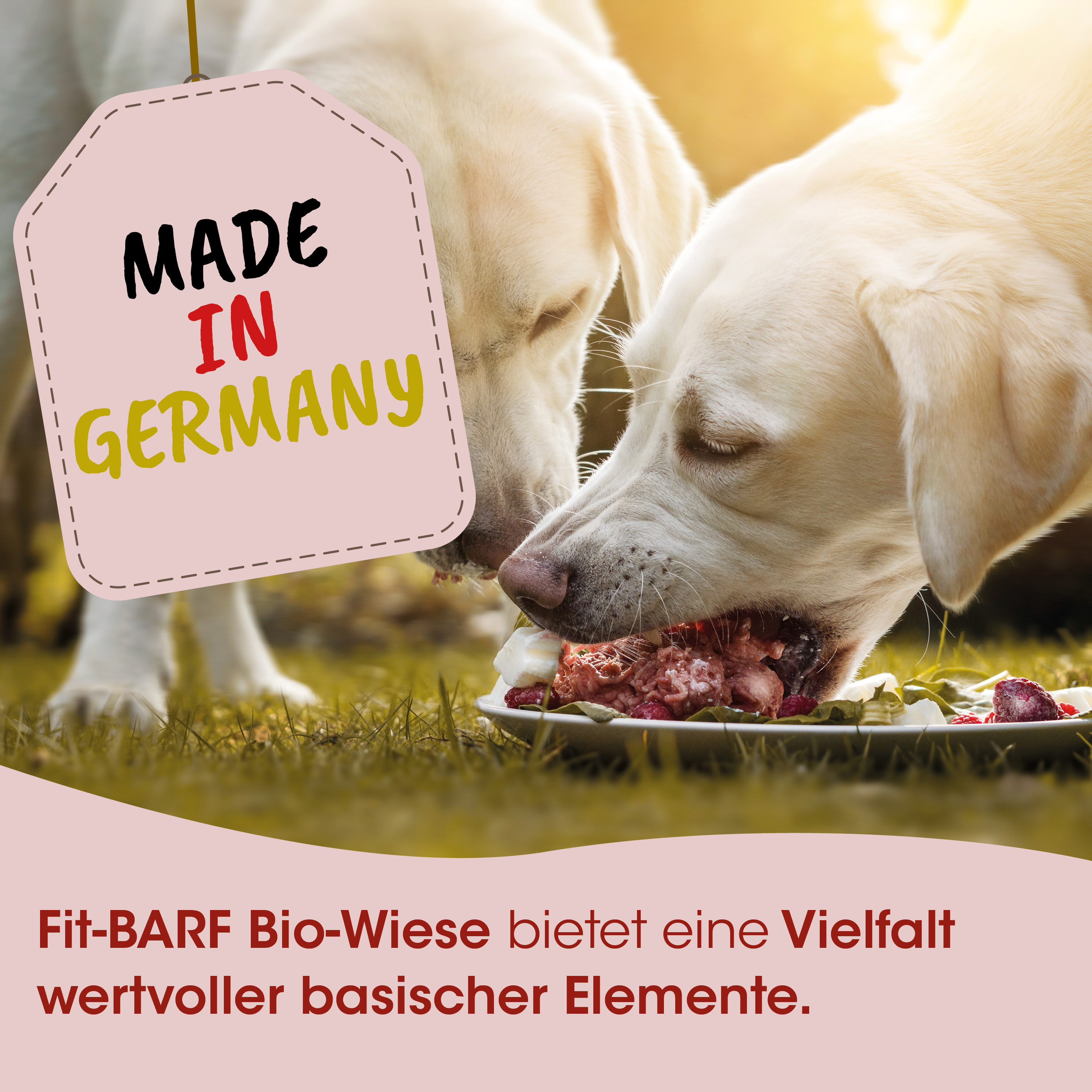 Hunde-Futter, Bio-Futter, Tierfutter, Hundefutter, Naturprodukt
