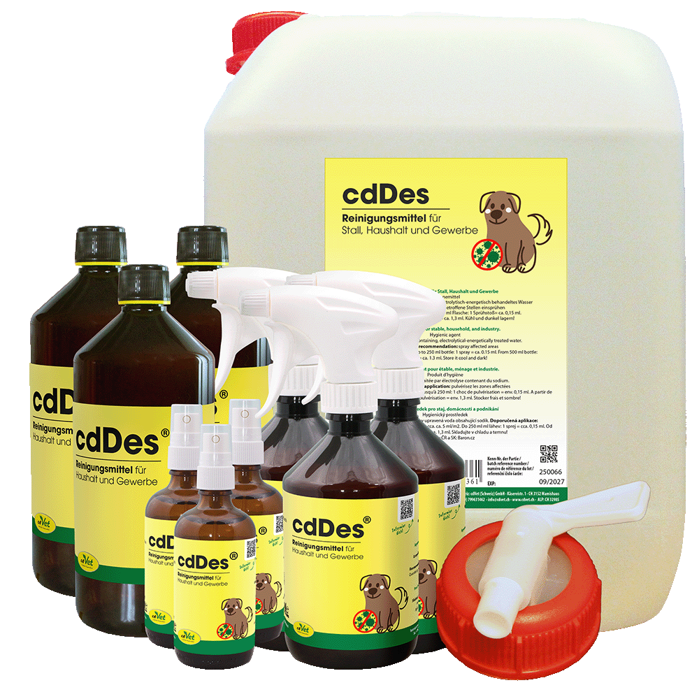 Essen, Würzen, Sirup