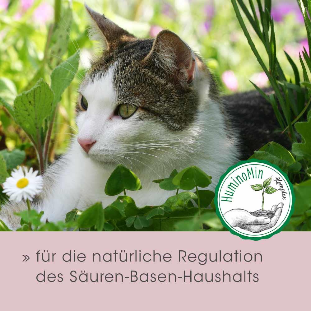 feliTATZ Magenschutz 200 g