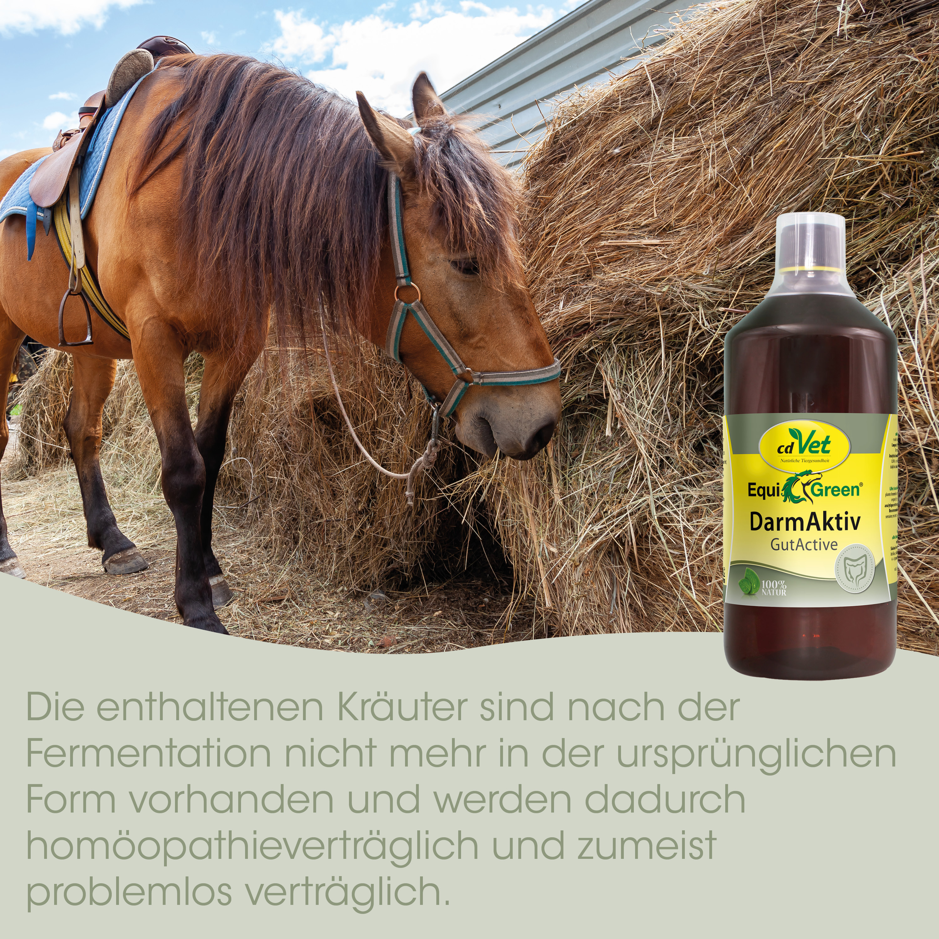 Pferd, Pferdezubehör, Sattel, Strohballen, Flasche