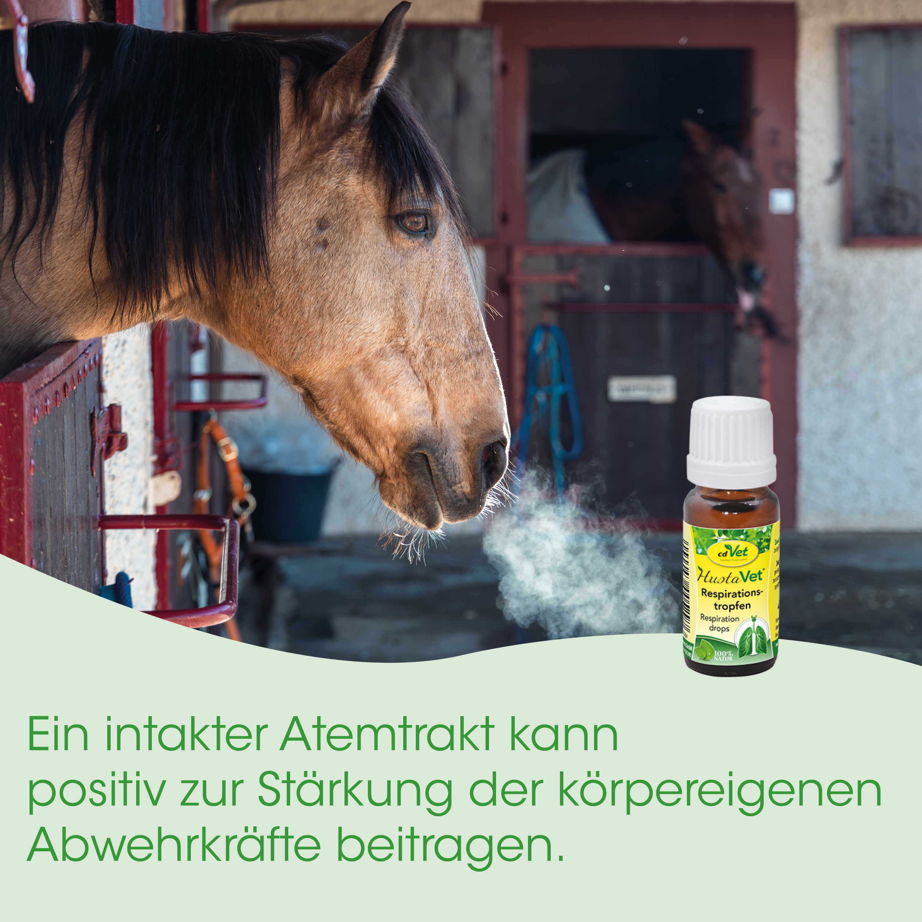 Pferd, Pferdekopf, Flasche, Injektionsflasche, Respiration Drops