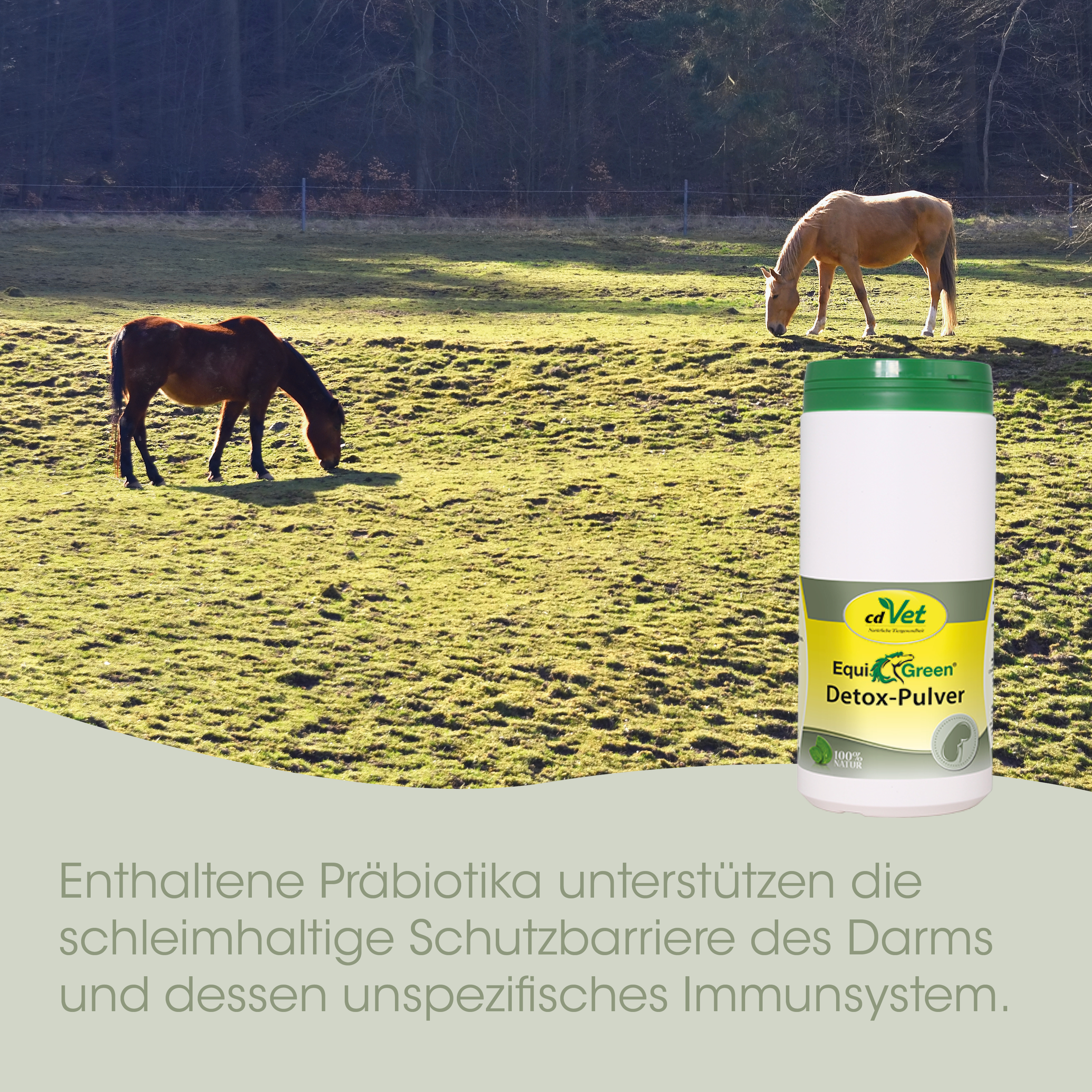 EquiGreen Detox-Pulver 2 kg