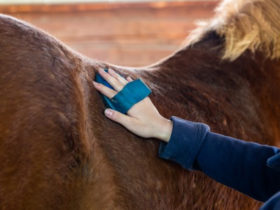 Erwachsener, Weiblich, Person, Frau