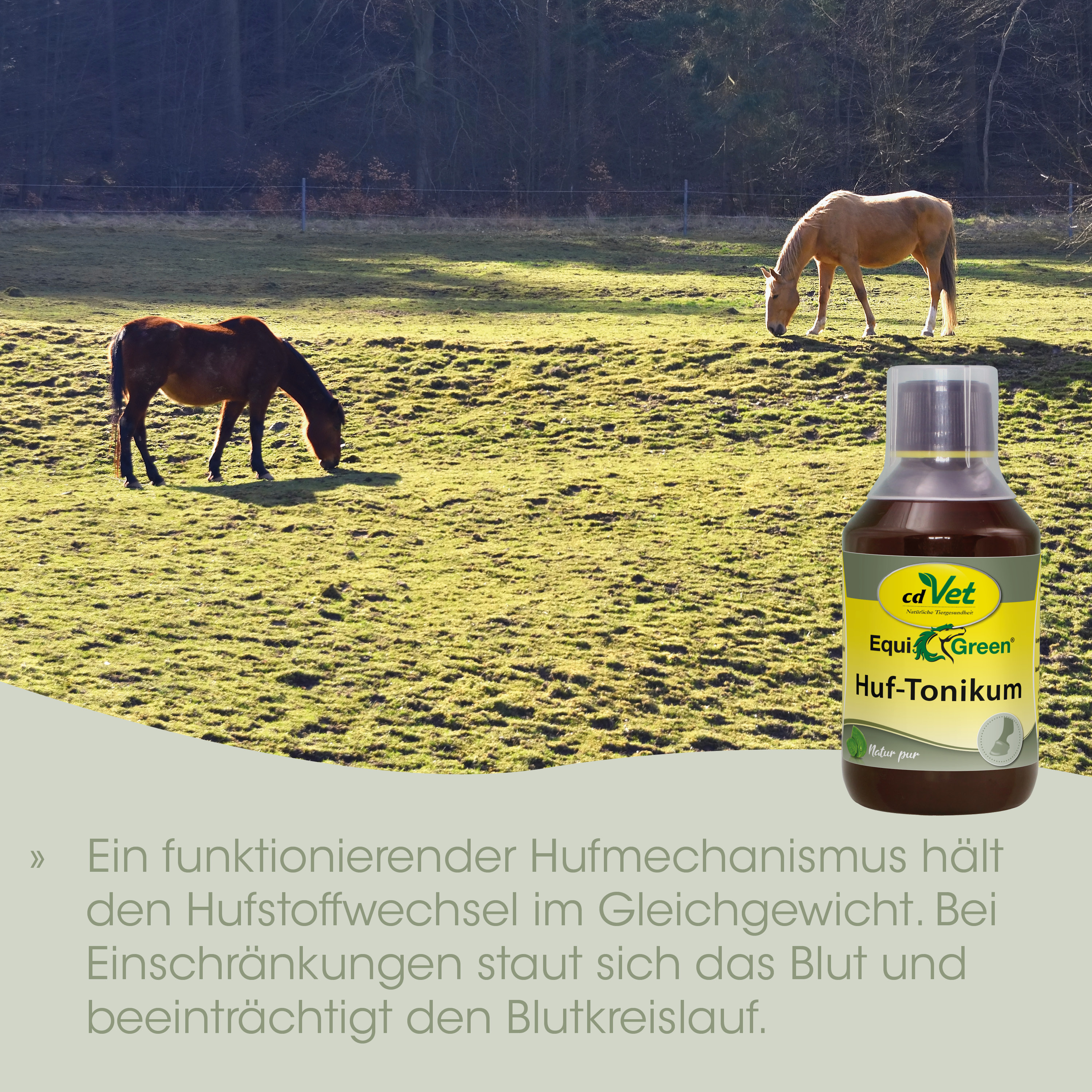 Pferd, Weide, Gras, Flasche, Tonikum