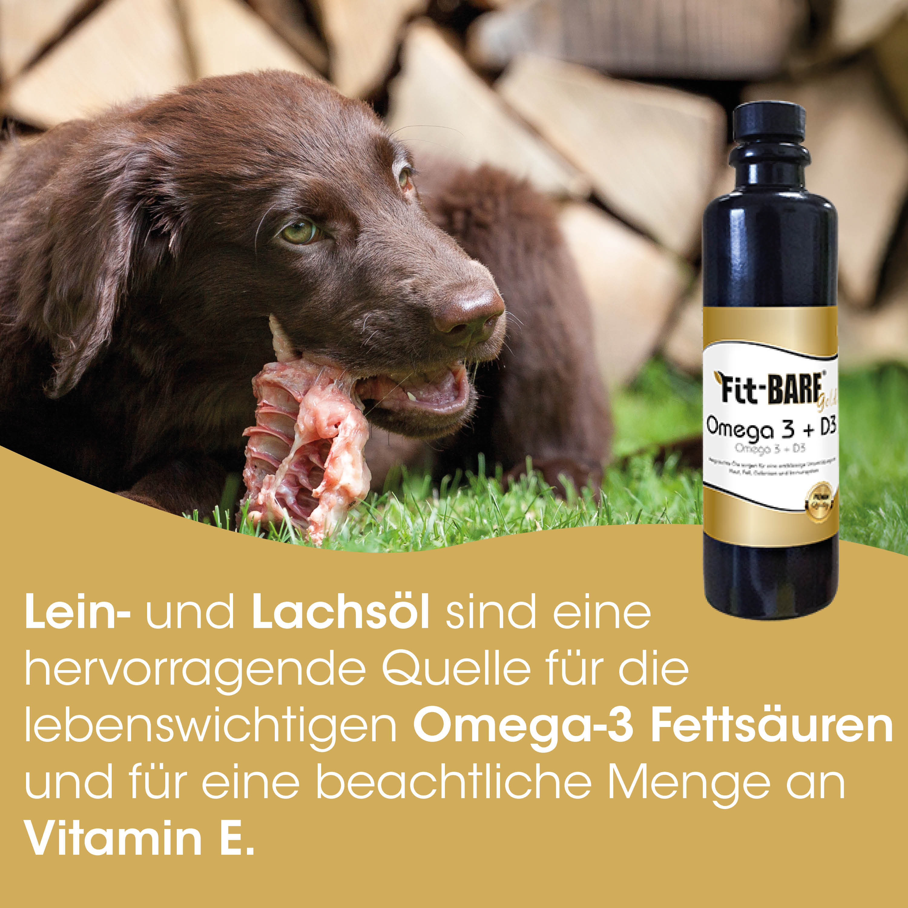Hund, Hundefutter, Omega-3, Lachsöl, Futtermittel