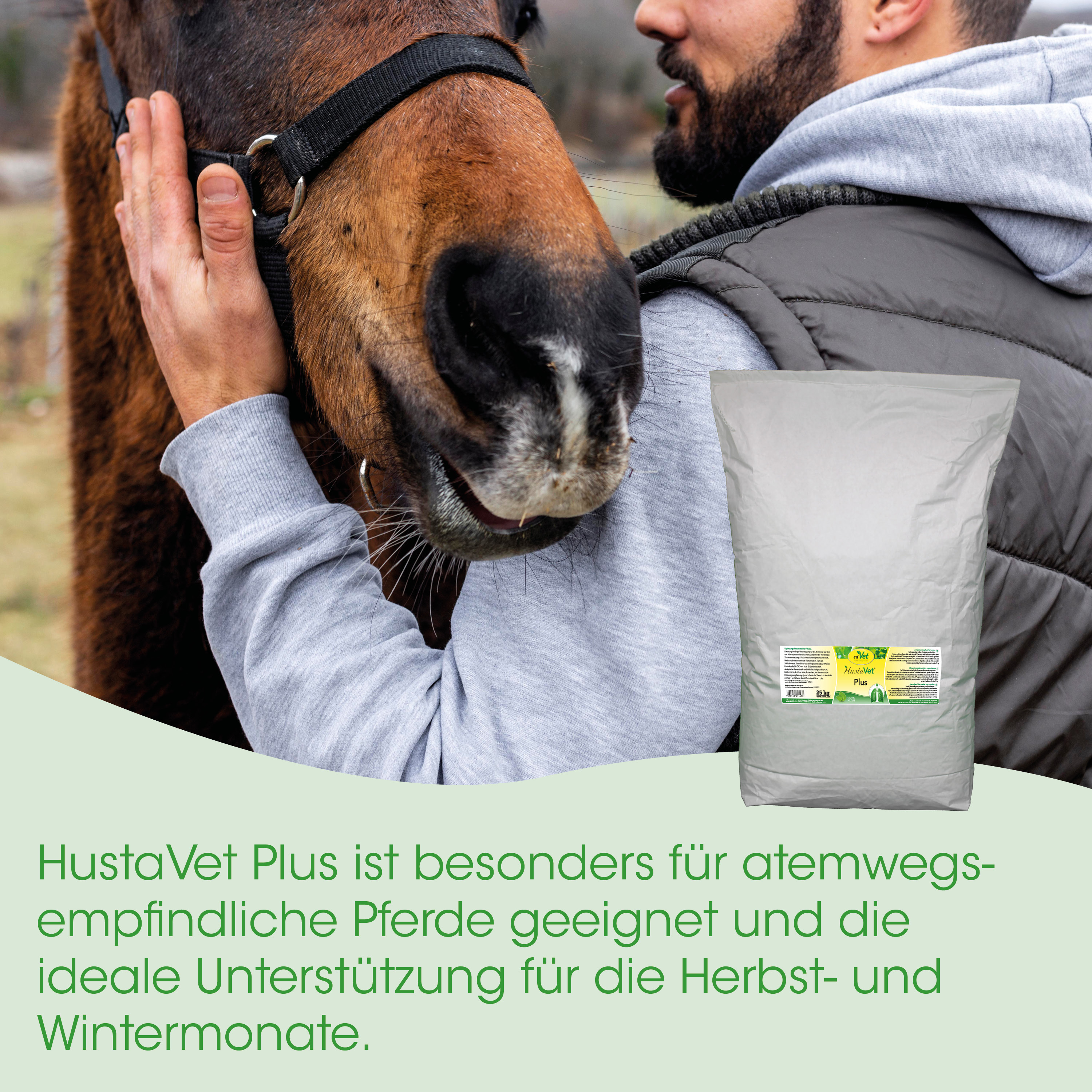 Pferd, Huf-Leger, Schutzhülle, Person, Verpackung