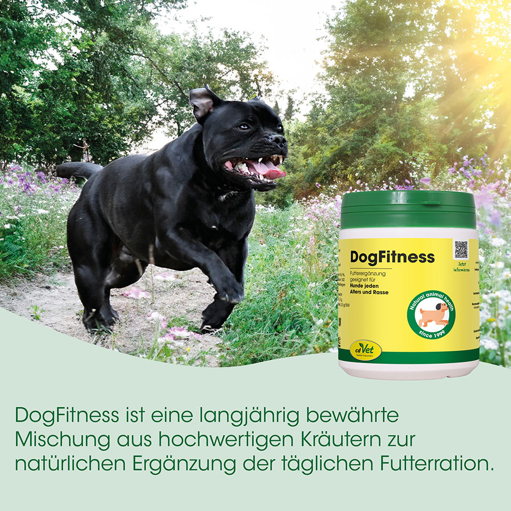 Hund, Fitness-Futter, Kräuter-Mischung, Kotronen?