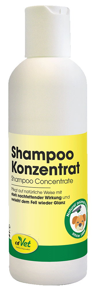 Shampoo, Konzentrat, Hund, Tierarzt, Pflegemittel