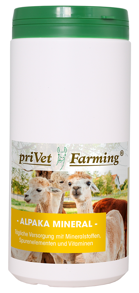 privet Alpaka Mineral