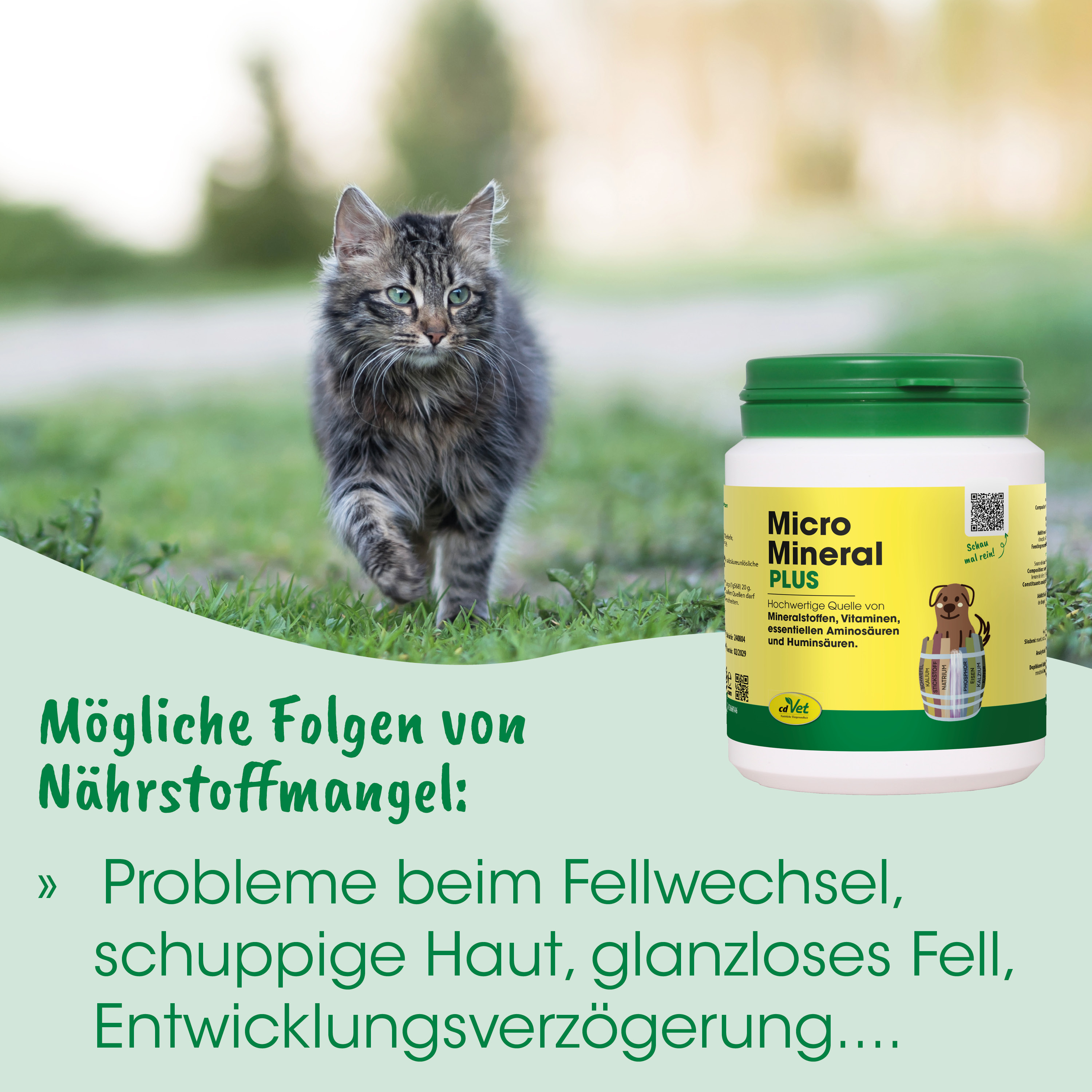Katzenfutter, Nahrung für Katzen, Tiernahrung, Grasgrüne Umgebung, Fassungsbehälter Gelb-Grün