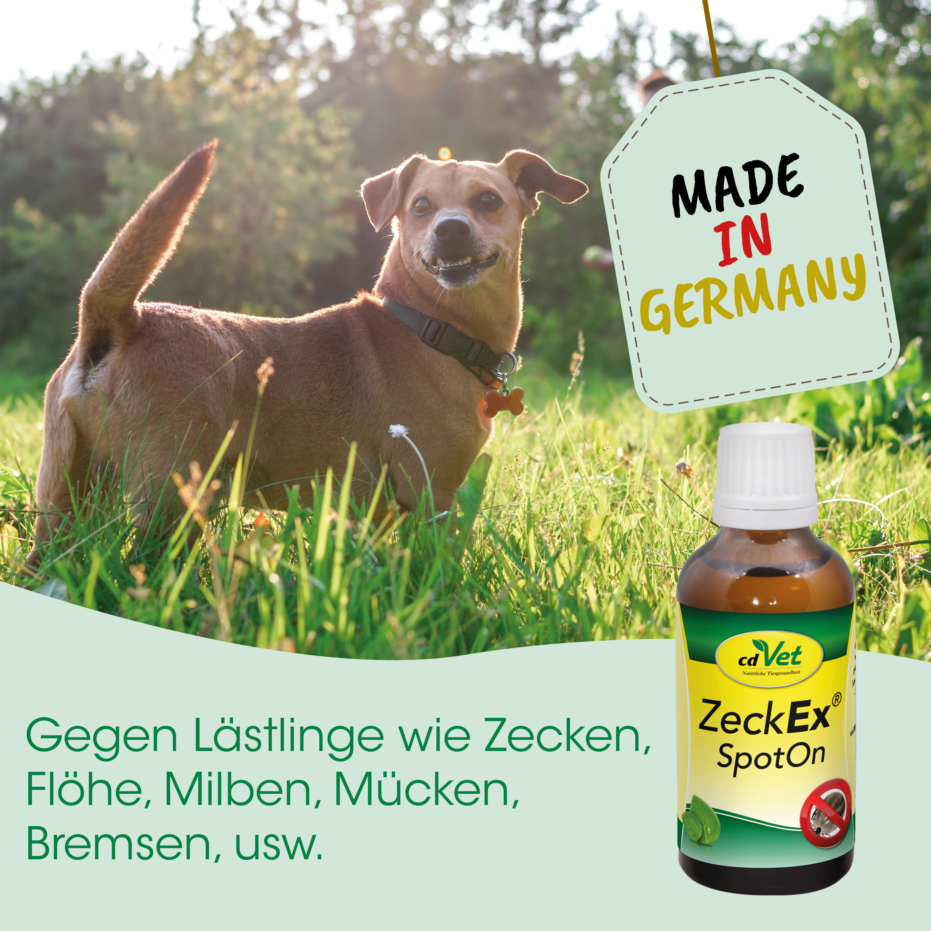 Hund, Tiermittel, Spot-On, Zecken, Germany