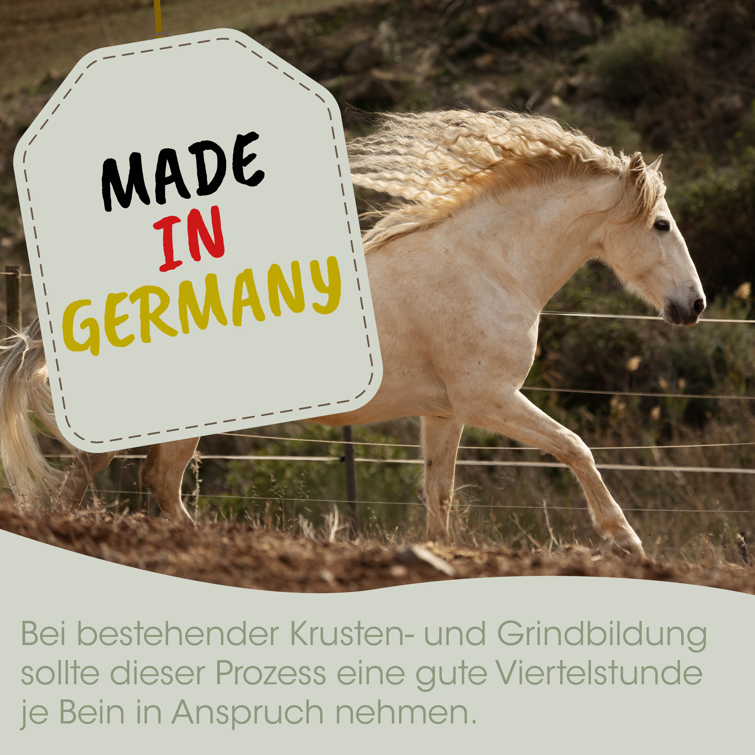 Pferd, Lampe, Made in Germany, Stute?, Hengst?