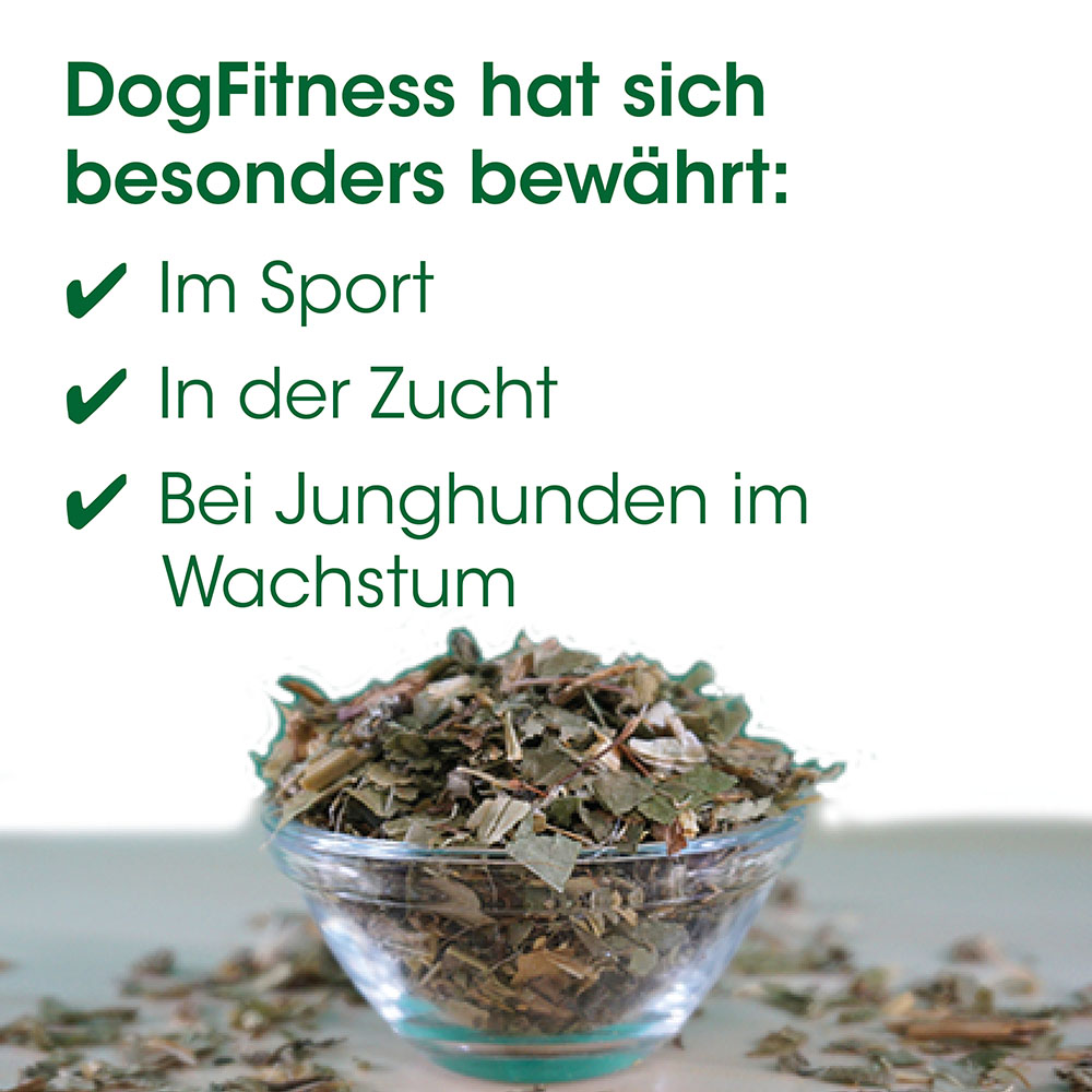 Kräuter, Tee-Mischung, getrocknet, Grün, Glasbehälter