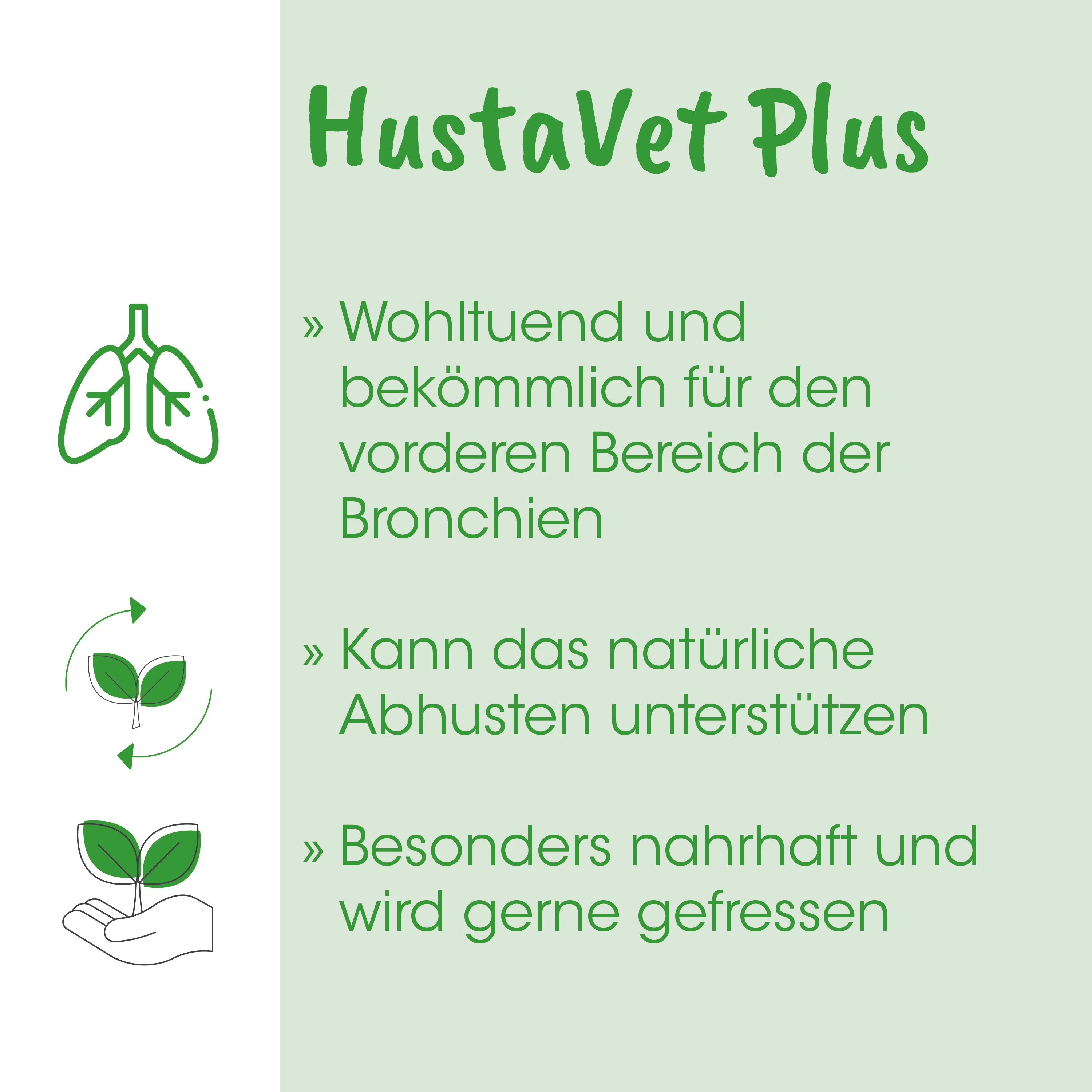 Lunge, Piktogramm, Grünes Design, Beförderte Eigenschaften, Bronchien