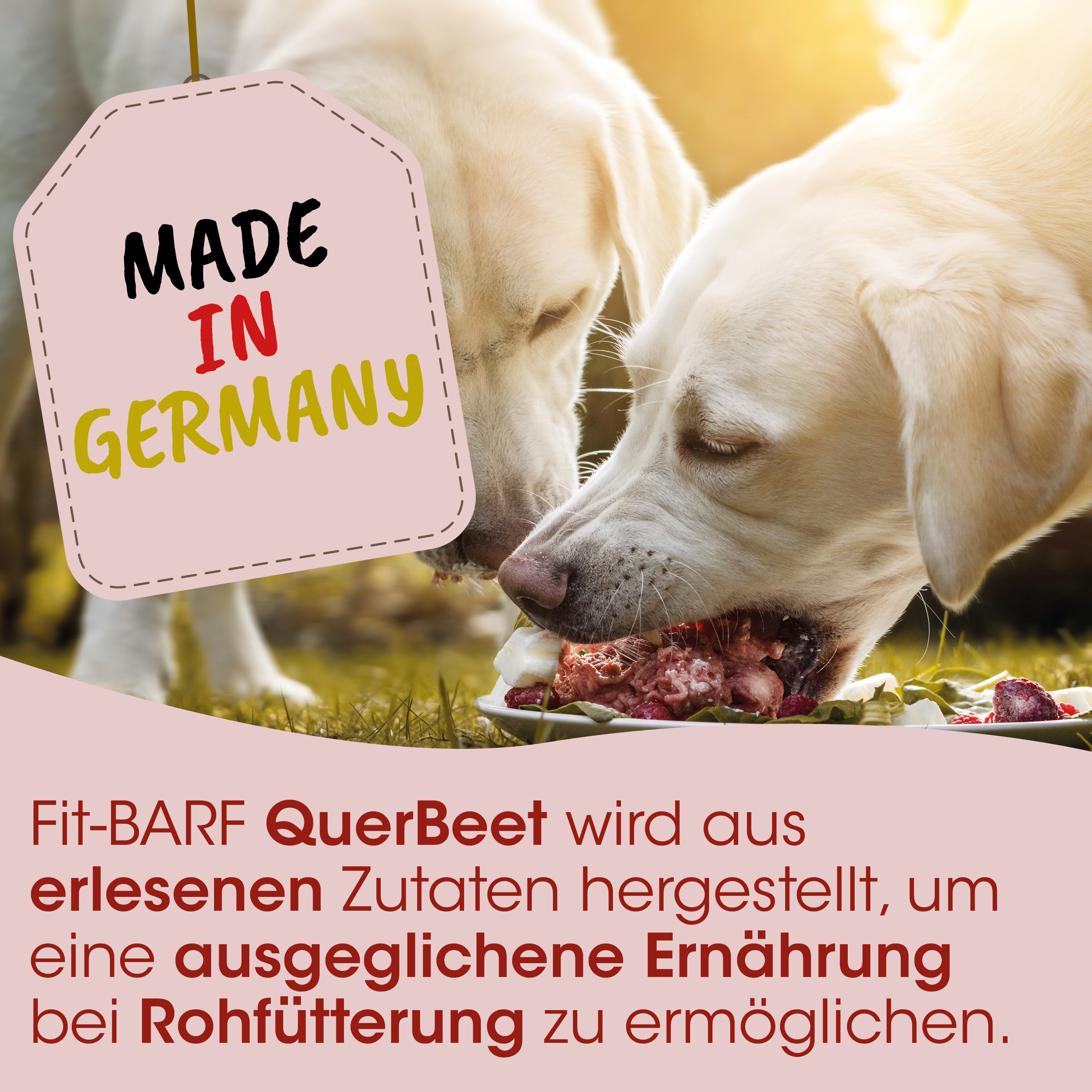 Hunde-Nahrung, Knochen, Fleisch, Fütterung, Logo-Tag