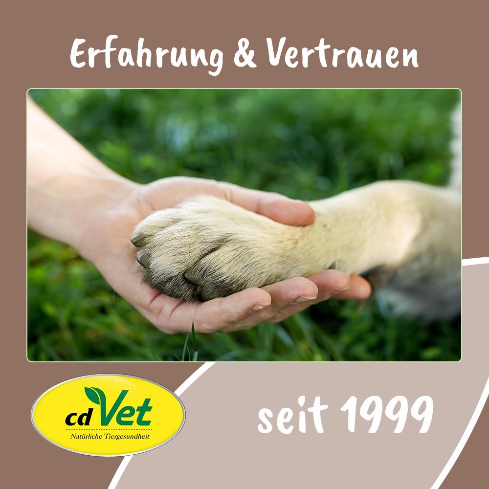 hand, Pfote Hund, Tierpflege, sanfte Berührung, Gras Hintergrund