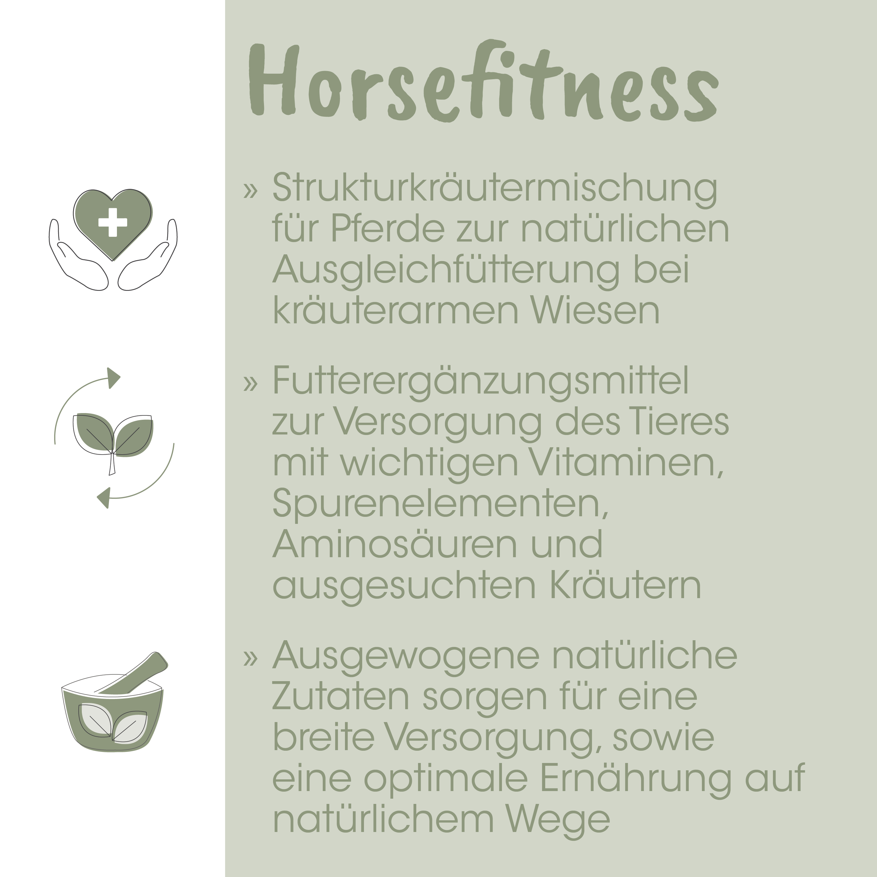 Pferd, Kraut, Nahrungsergänzung, Pulver, Mörser und Stößel