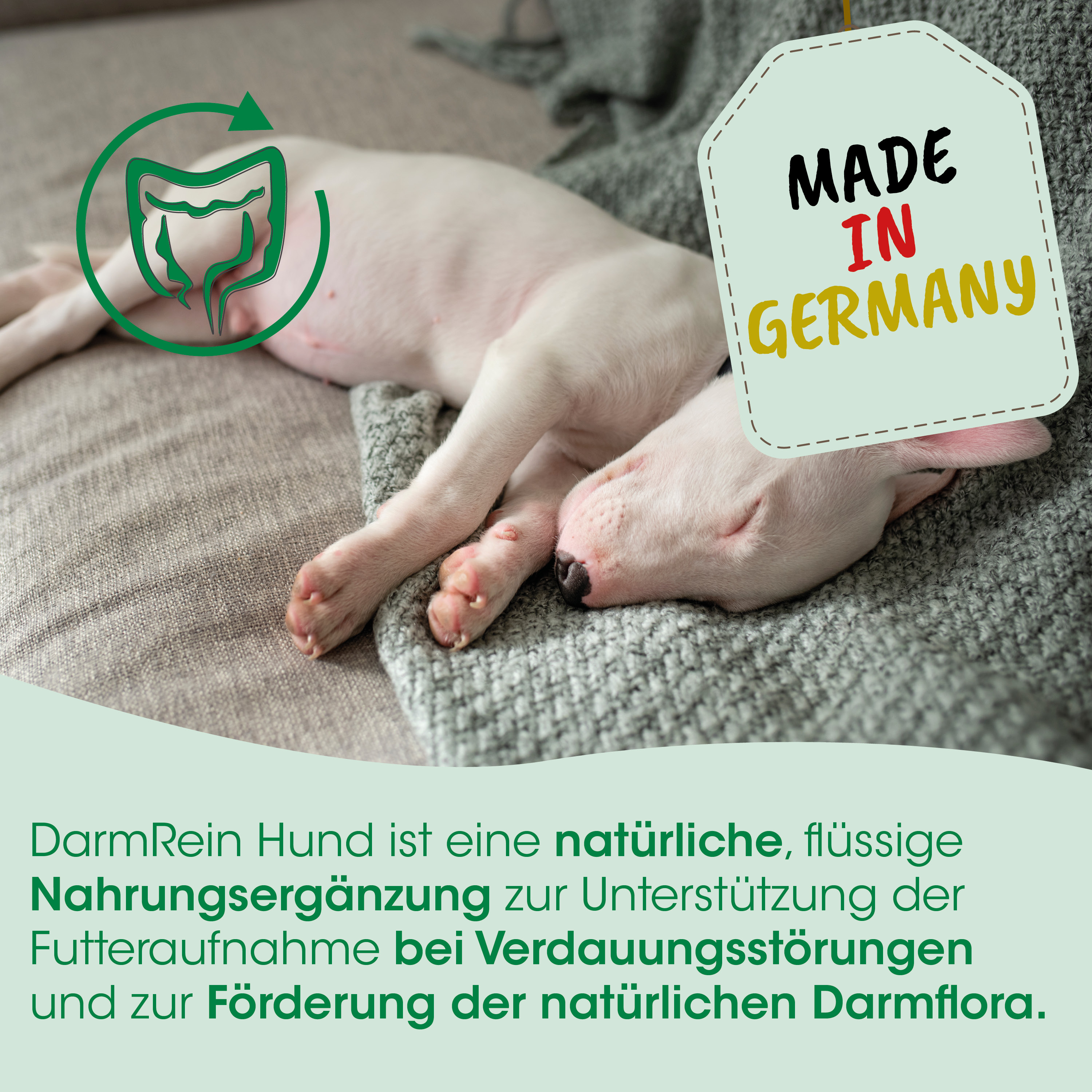 Hund, Welpe, Pflege, Nahrungsergänzung, Made in Germany