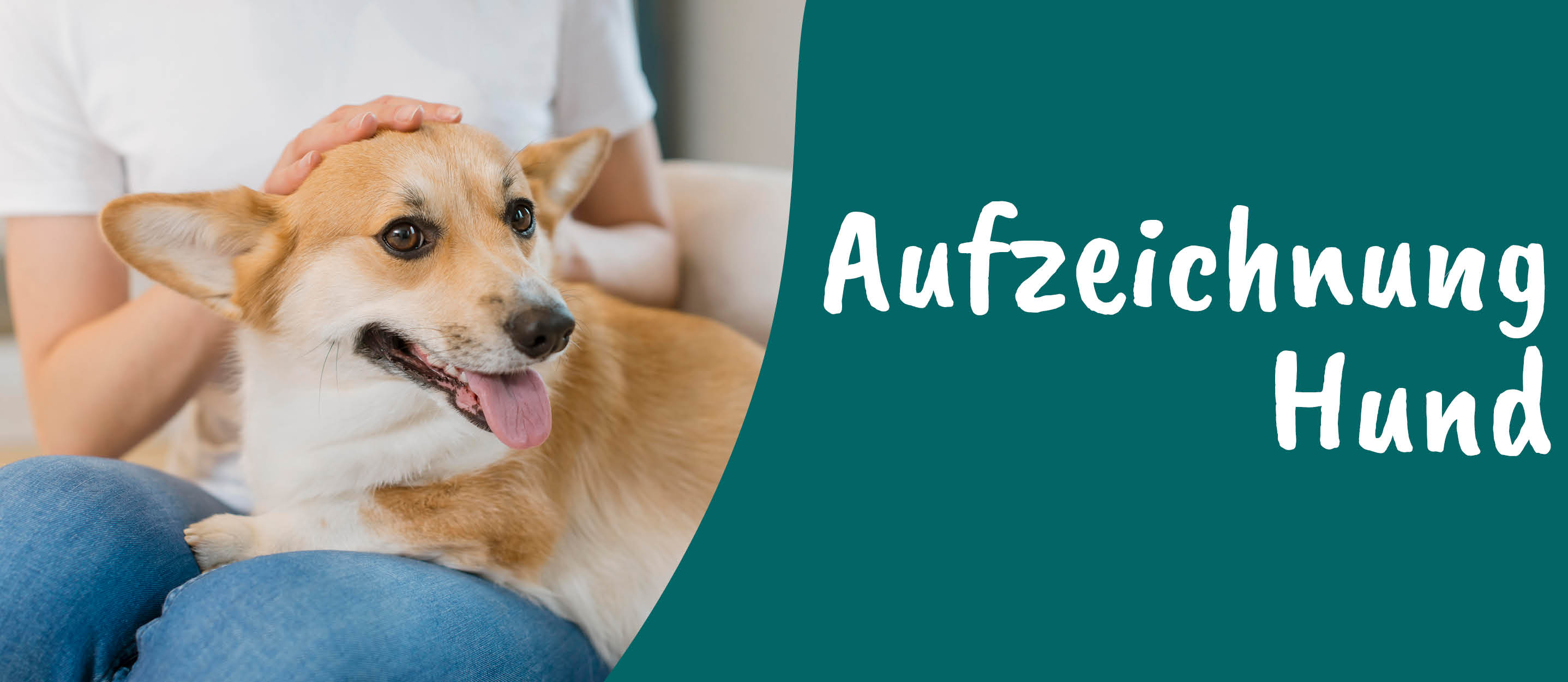 Hund, Säugetier, Haustier, Doktor, Person