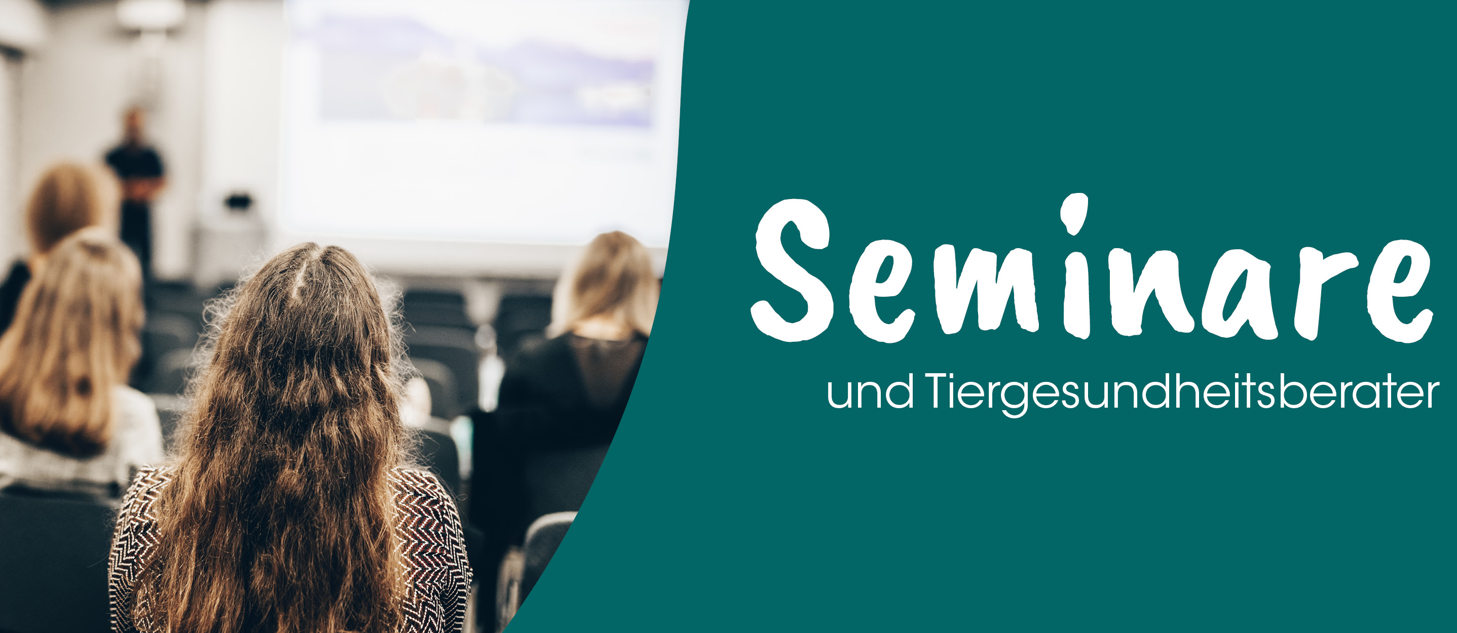 Leute, Menschenmenge, Seminar, Klassenzimmer, Schule