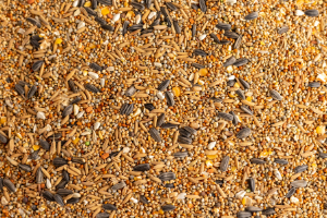 Essen, Produzieren, Kronleuchter, Lampe, Getreide