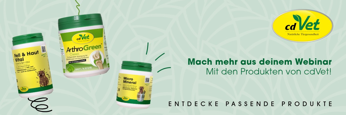 Kräuter, Pflanze, Flasche