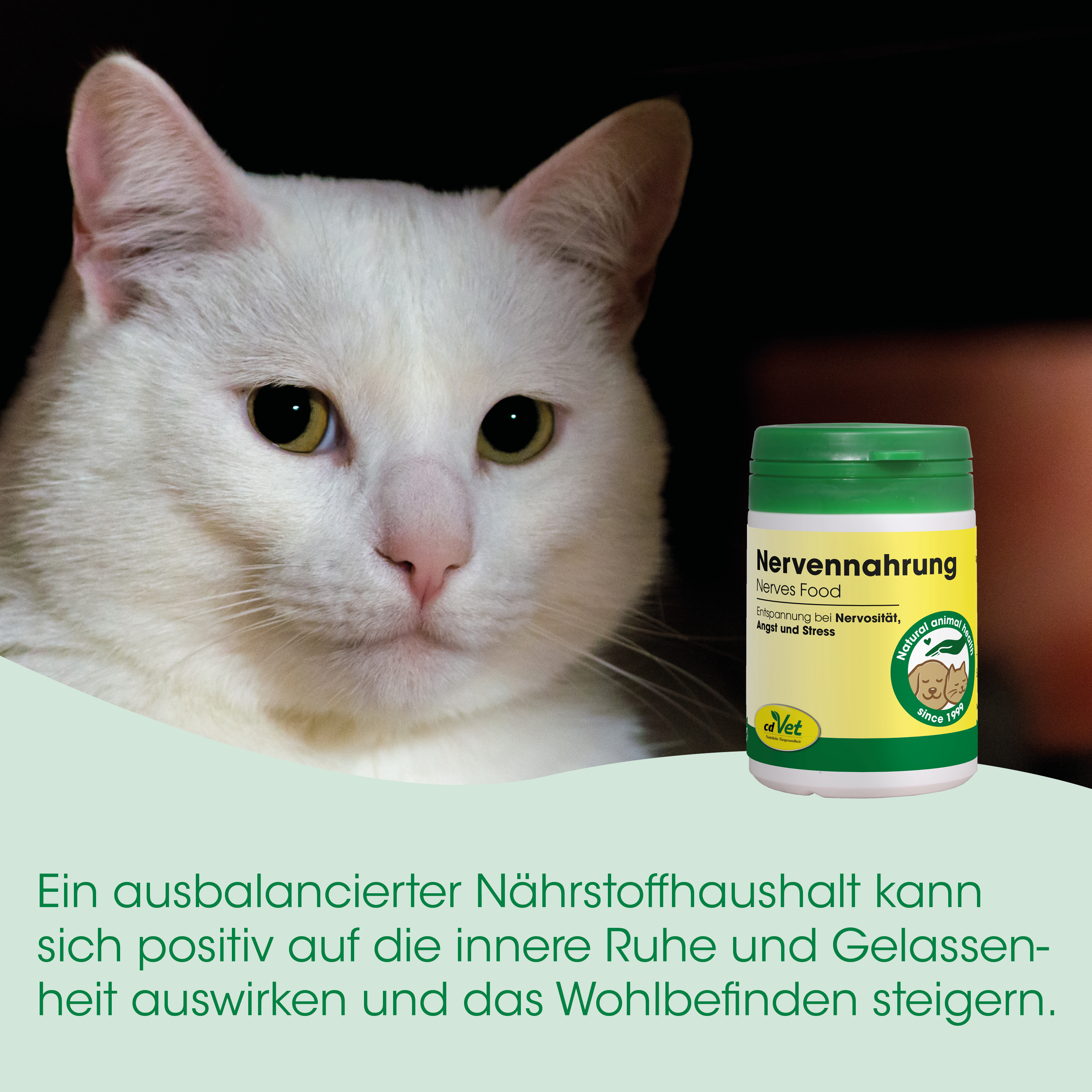 weiße katze, katzennahrungsergänzung, flaschenbehälter, grüner deckel, nervennahrung
