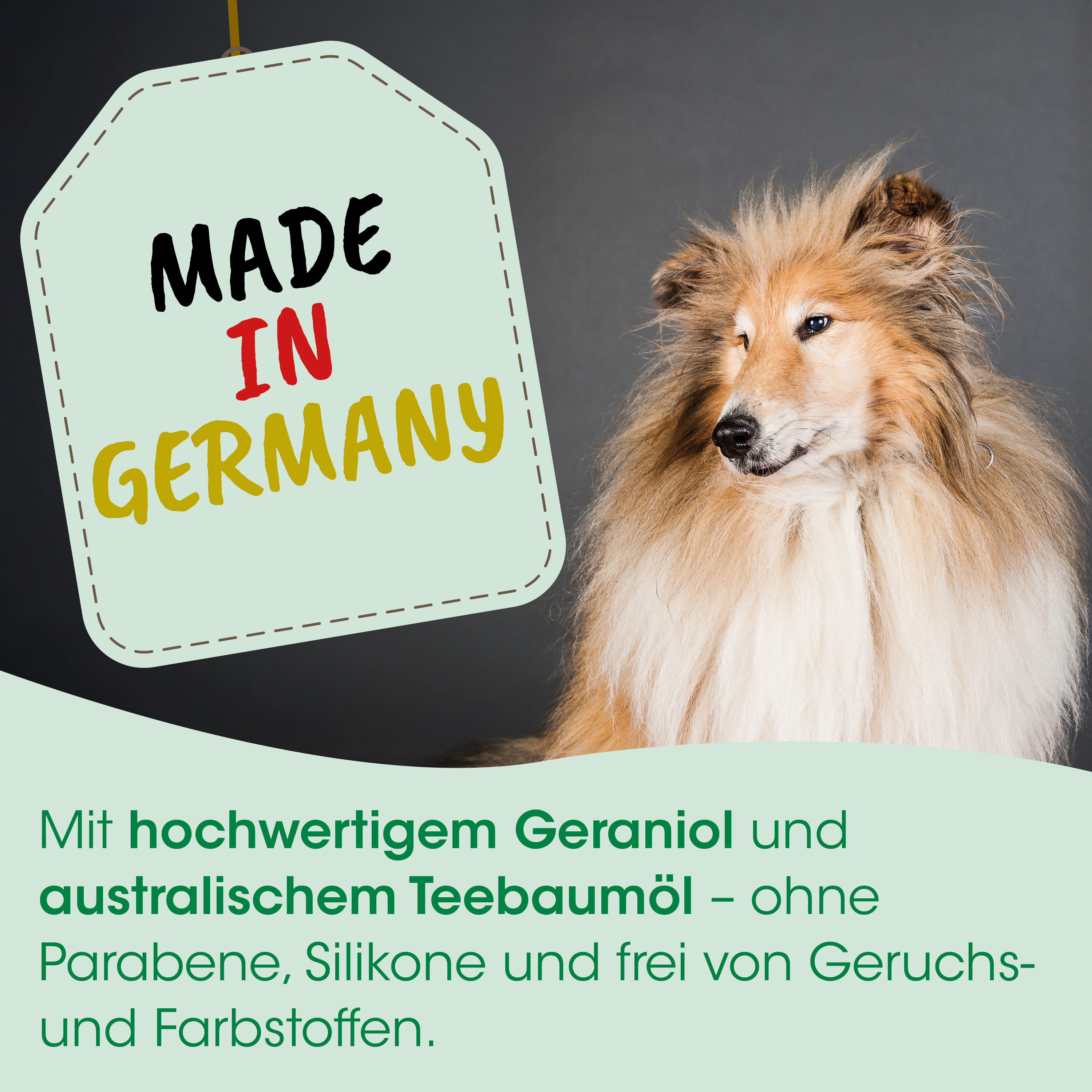 Hund, Samtfell, Langhaar, Collie, Tierfutter