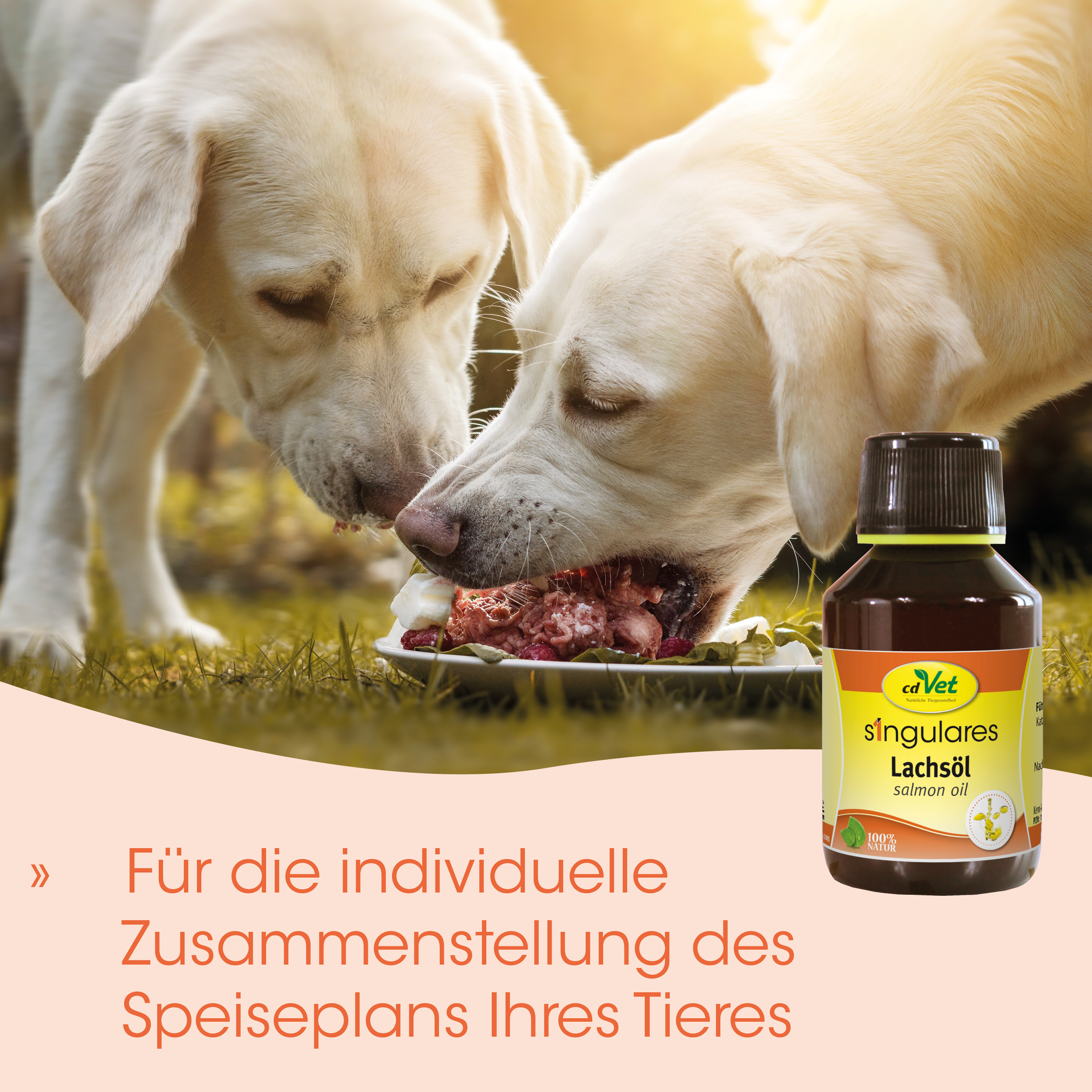 Hundeernährung, Lachsöl, Tierergänzungsmittel, Flasche, Hunde fressen