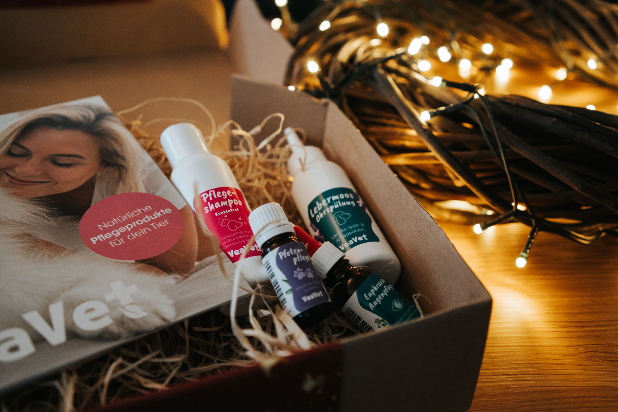 Erwachsener, Weiblich, Person, Frau, Gesicht