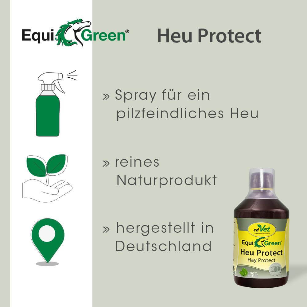 Essen, Würzen, Sirup, Kräuterig, Pflanze