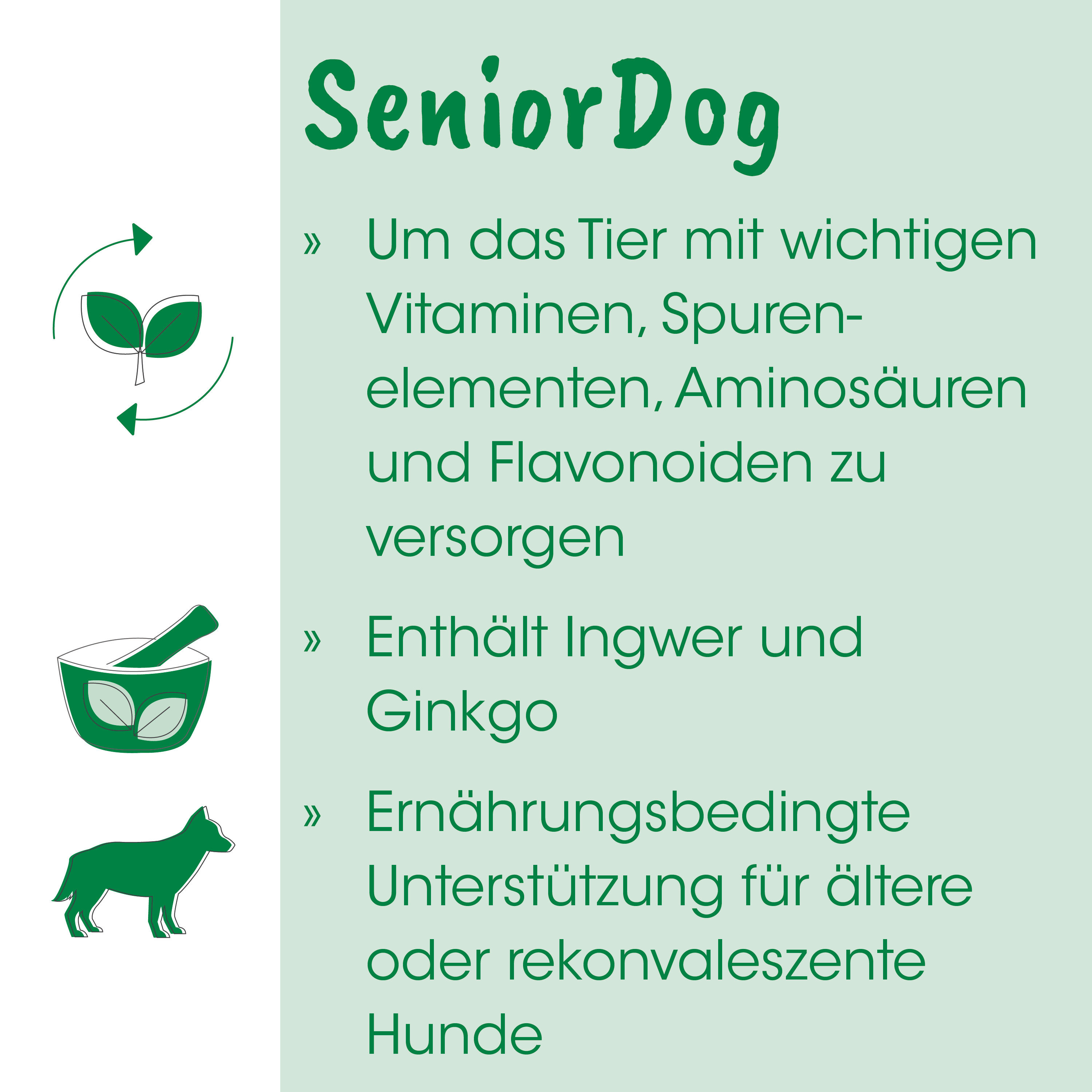 Hund, Grün, Schüssel, Mörser, Blätter