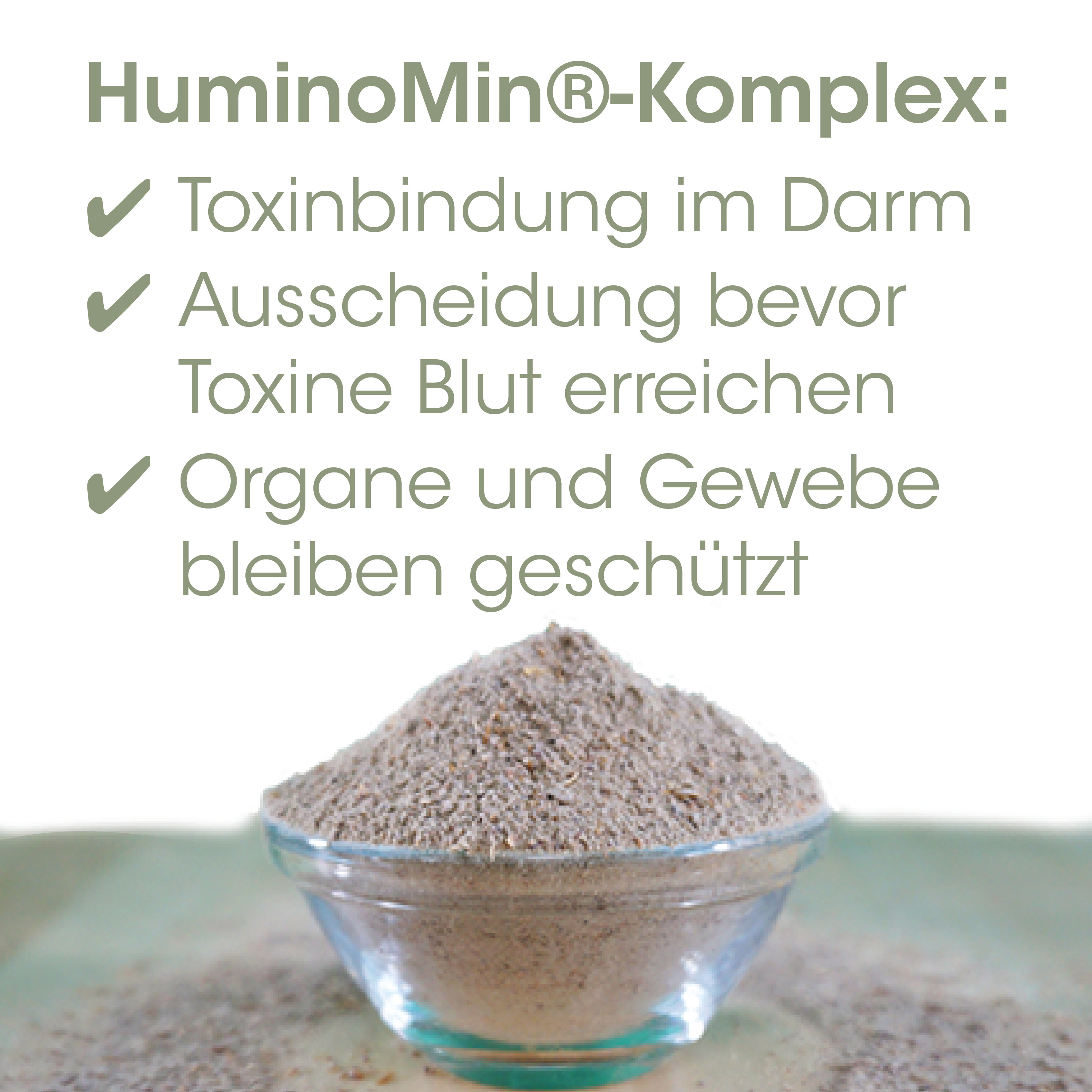 Produkt, Mehl, Mehlpulver, Granulat, Schüssel Mageres Proteinart