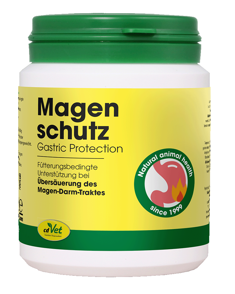 Magen Schutz, Gastric Protection, Futterungsbedingte Unterstützung, Magen-Darm-Trakt, Natural animal health