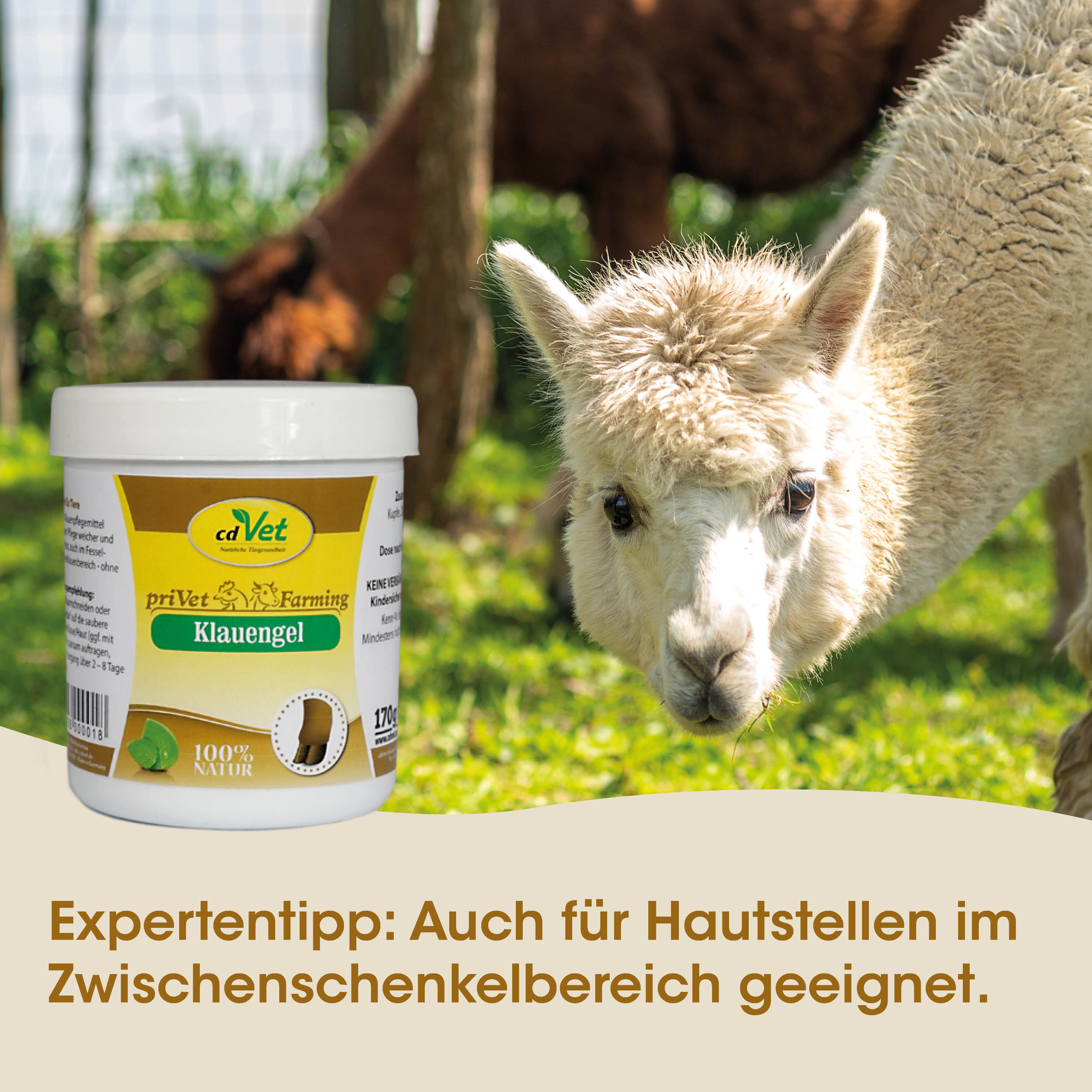 Lama, Kläungel, Tierfutter, Kunststoffbehälter, Hund-Katzen-Futter